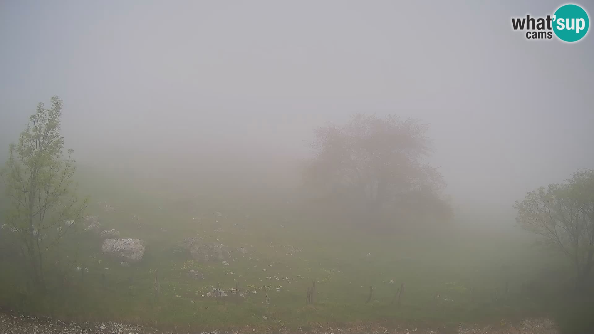 Cámara en Vivo de Planina Kuhinja – KRN – Kobarid – Eslovenia
