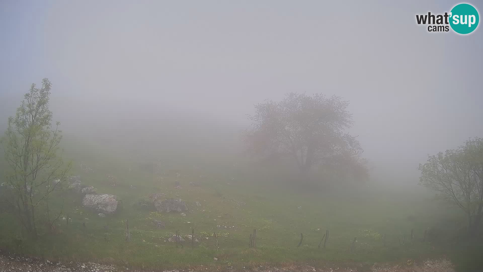 Cámara en Vivo de Planina Kuhinja – KRN – Kobarid – Eslovenia