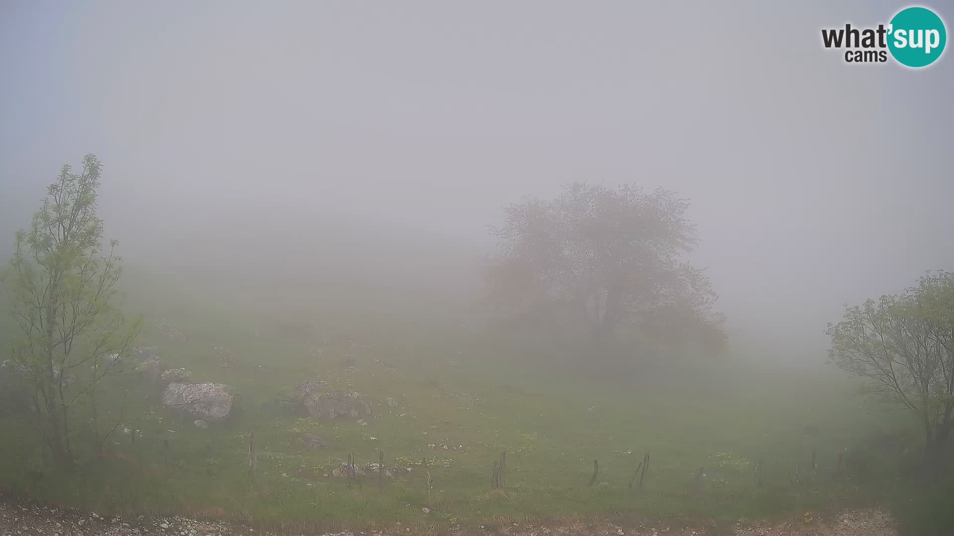 Webcam Krn – Planina Kuhinja ( Plateau Kuhinja ) – Kobarid – Slovenia