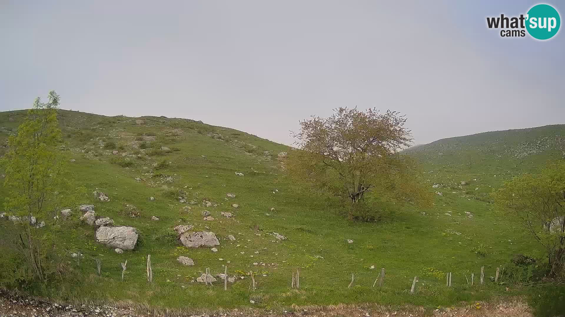 Cámara en Vivo de Planina Kuhinja – KRN – Kobarid – Eslovenia