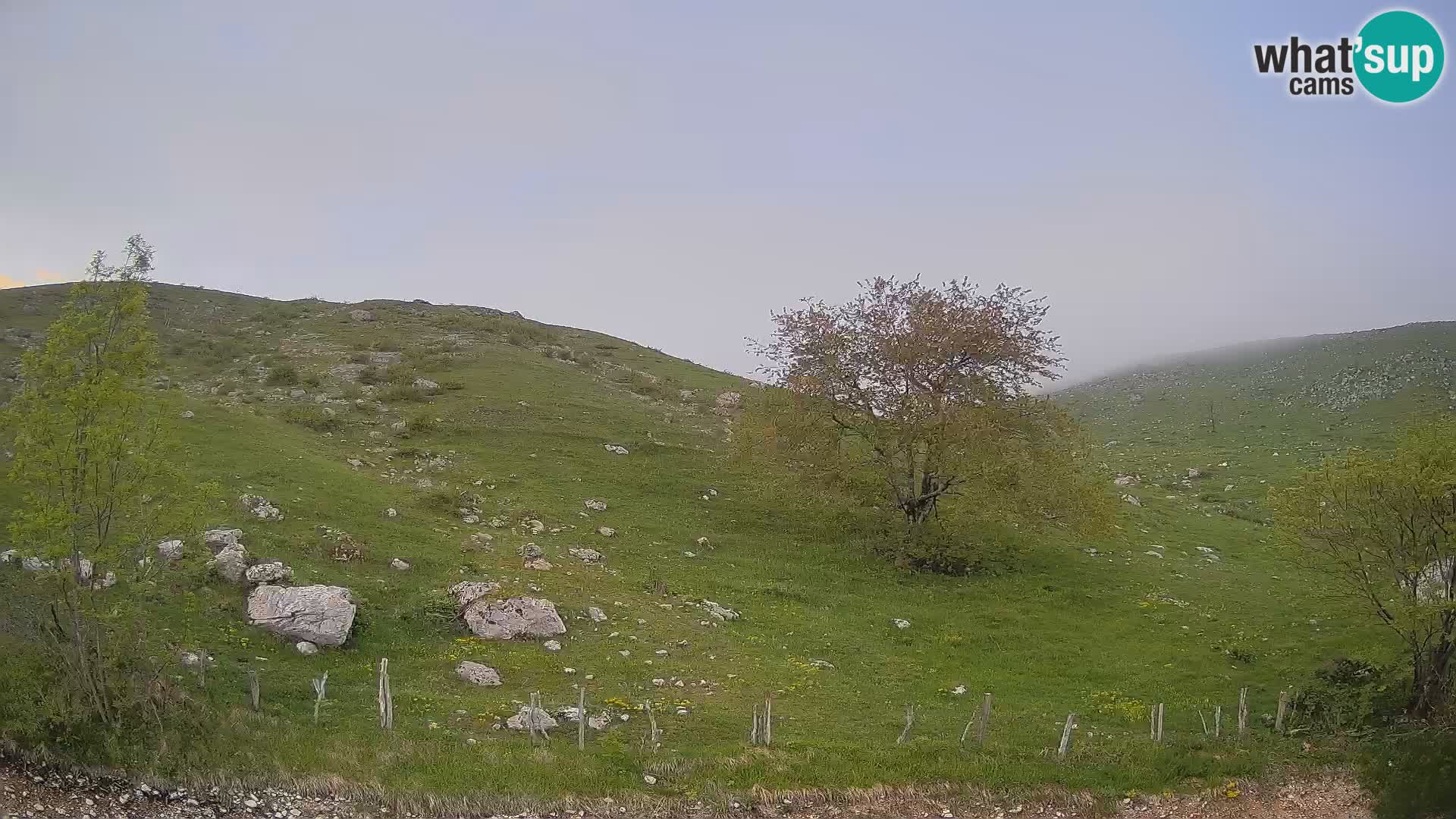 Spletna kamera Planina Kuhinja – KRN – Kobarid