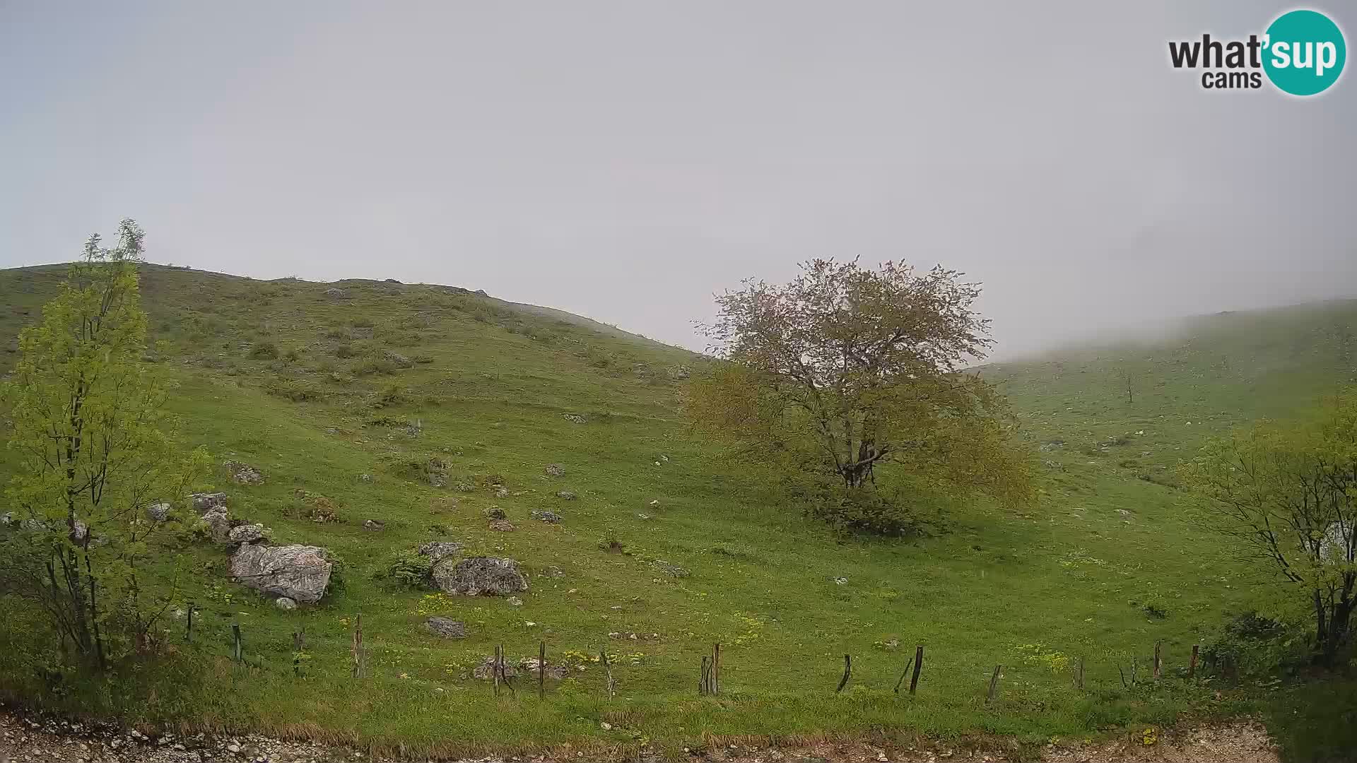 Spletna kamera Planina Kuhinja – KRN – Kobarid