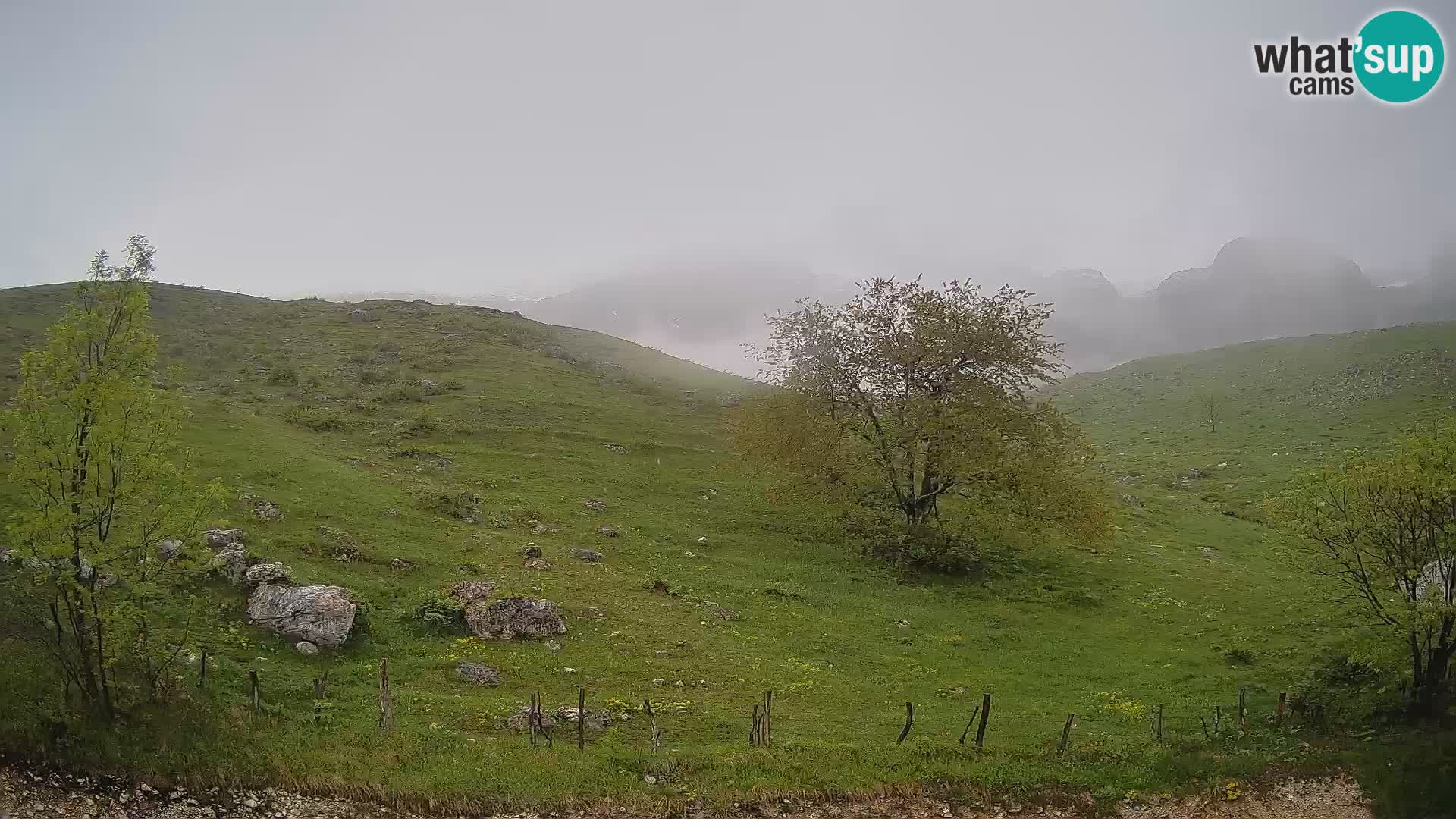 Livecam Planina Kuhinja – KRN- Kobarid – Slovénie