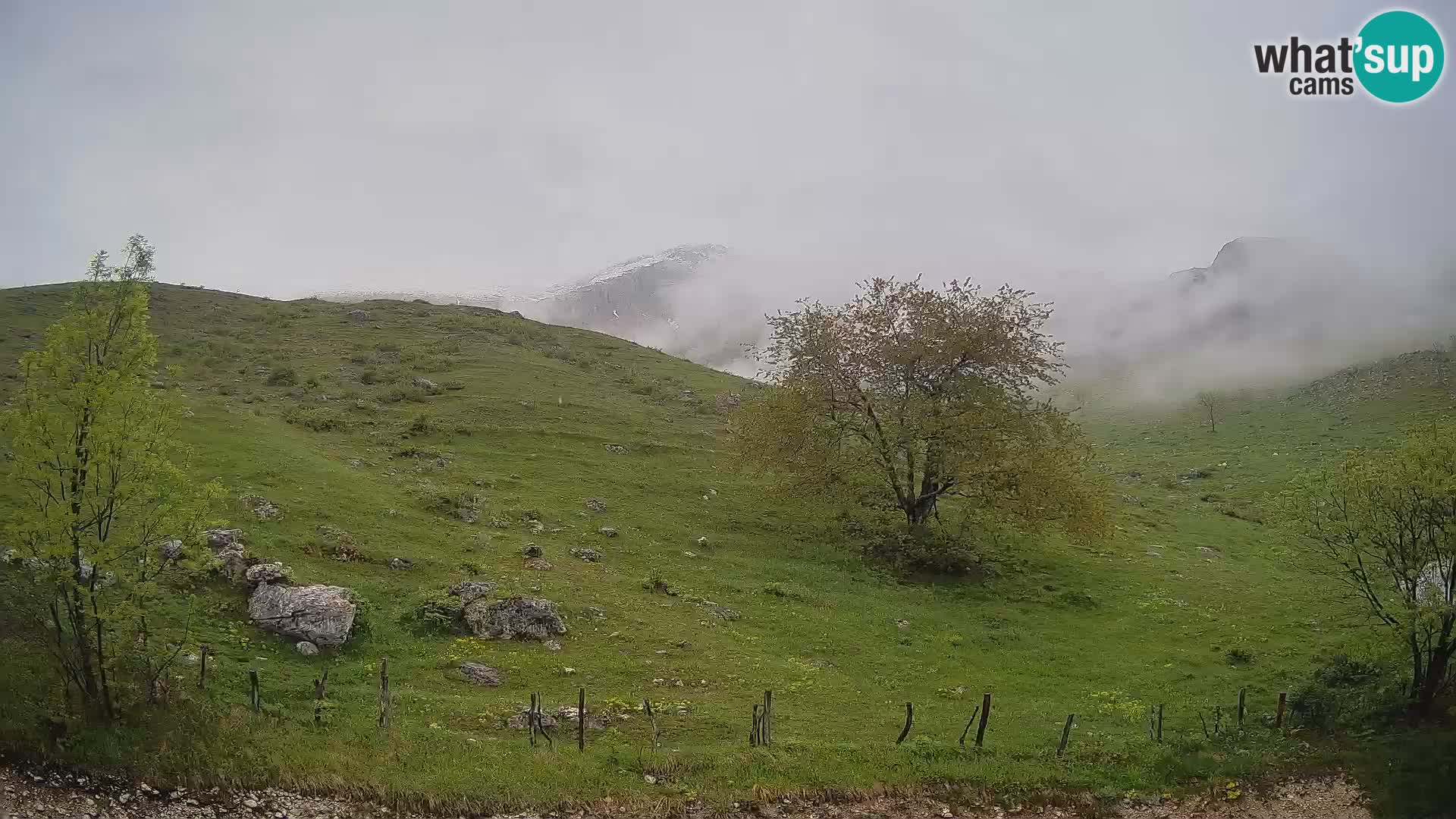 Live cam Planina Kuhinja – Monte Nero ( Krn ) – Caporetto – Slovenia