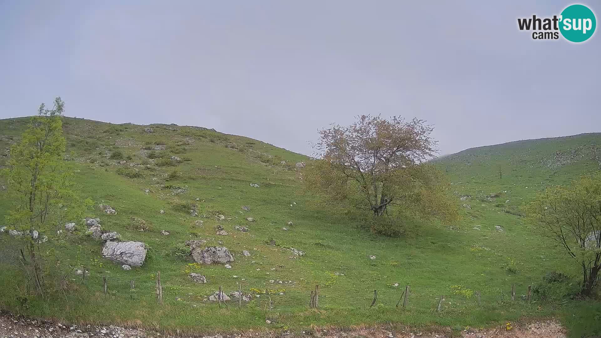 Cámara en Vivo de Planina Kuhinja – KRN – Kobarid – Eslovenia