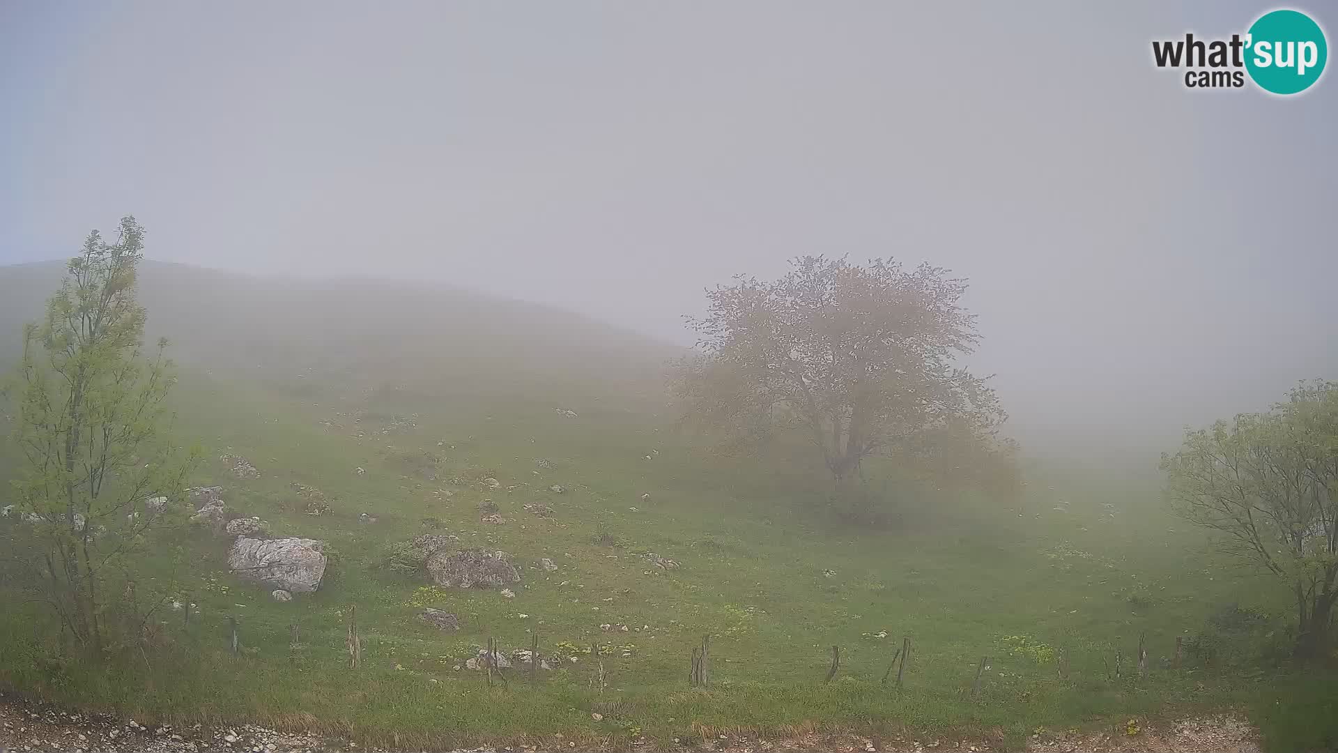 Cámara en Vivo de Planina Kuhinja – KRN – Kobarid – Eslovenia