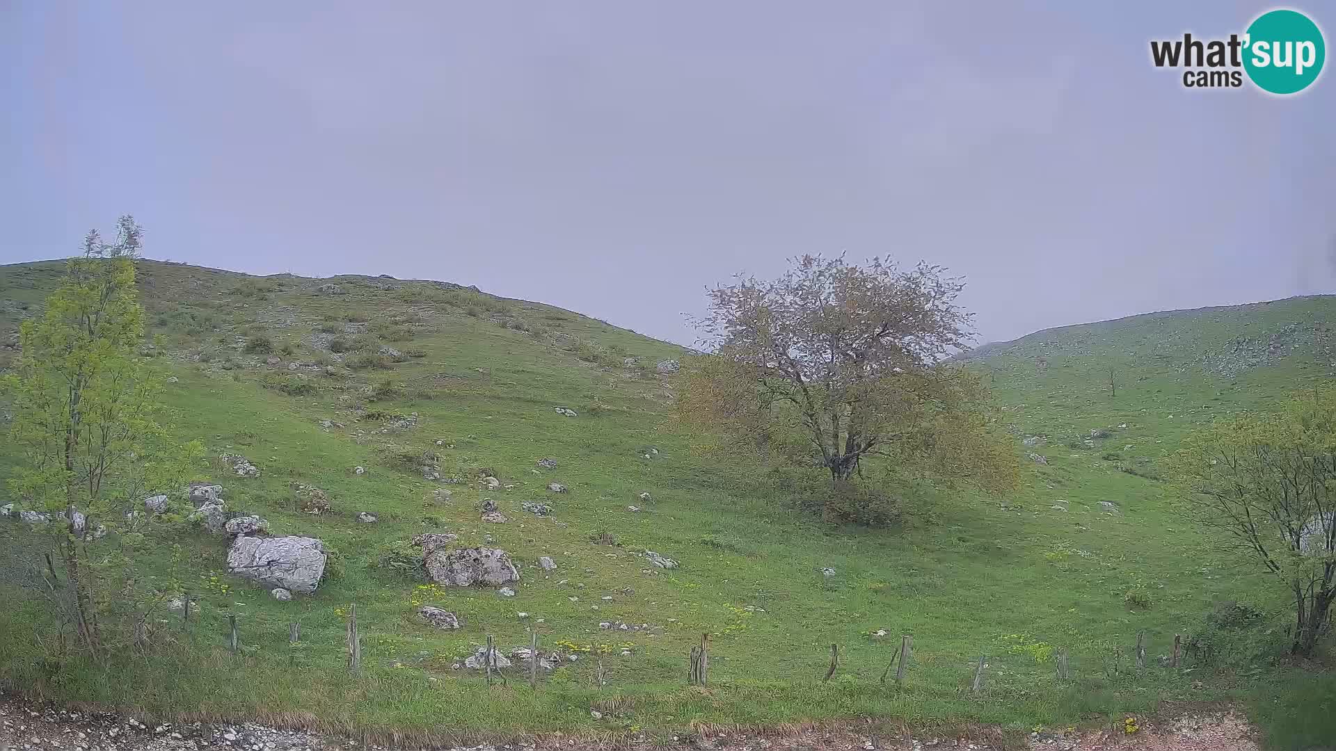 Web kamera Planina Kuhinja – KRN – Kobarid – Slovenija