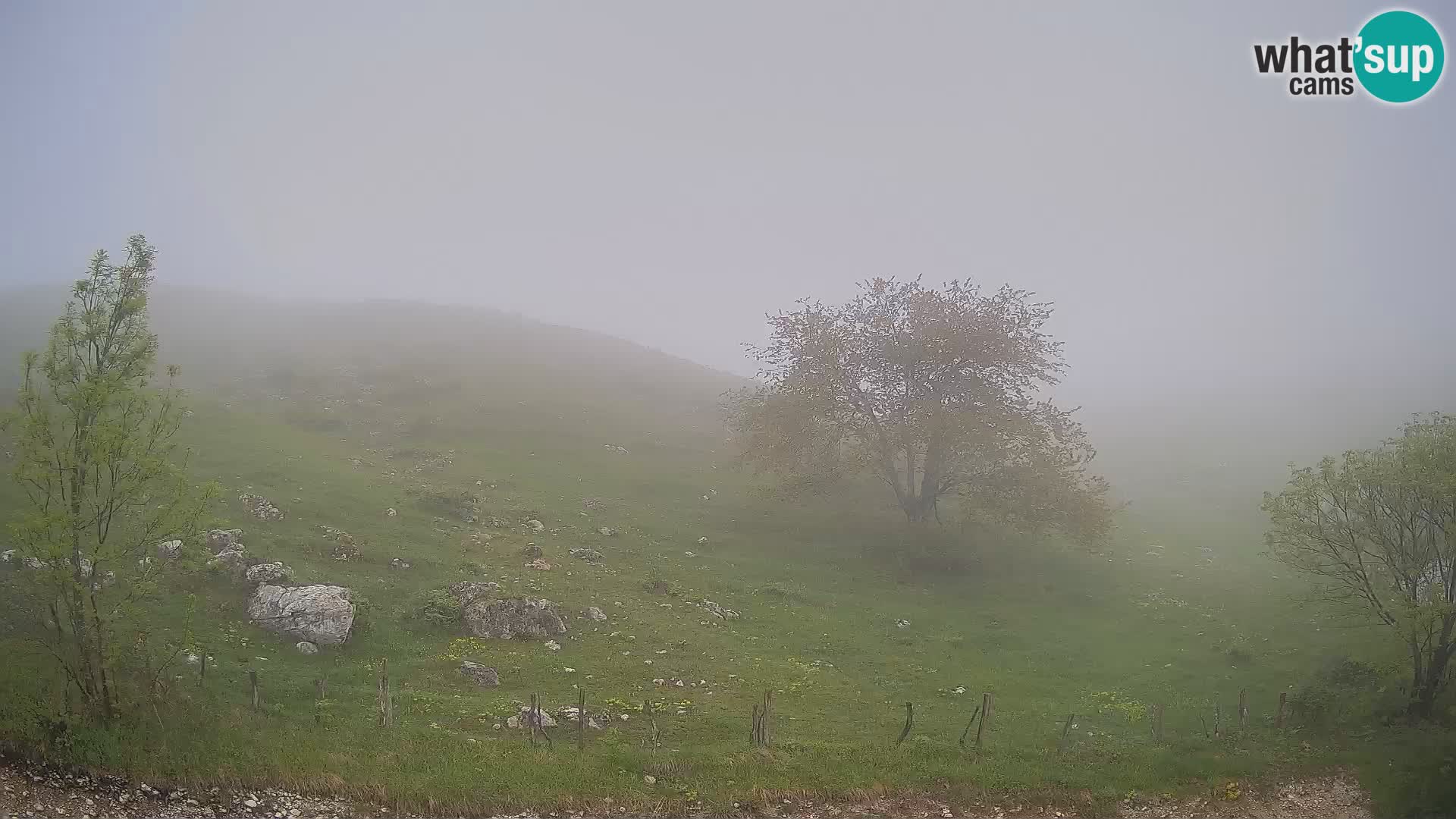 Web kamera Planina Kuhinja – KRN – Kobarid – Slovenija
