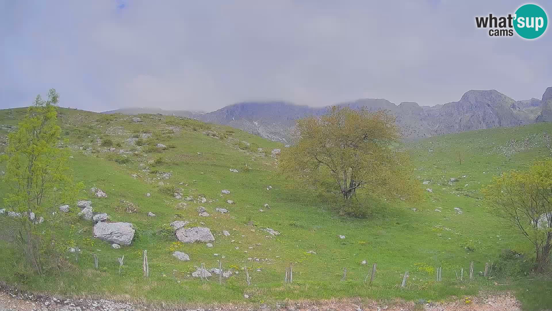 Spletna kamera Planina Kuhinja – KRN – Kobarid