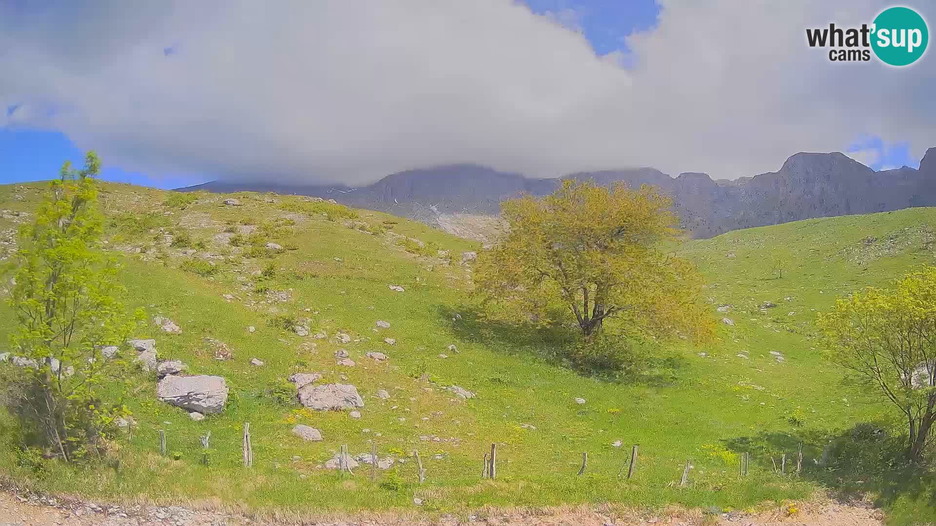 Live cam Planina Kuhinja – Monte Nero ( Krn ) – Caporetto – Slovenia