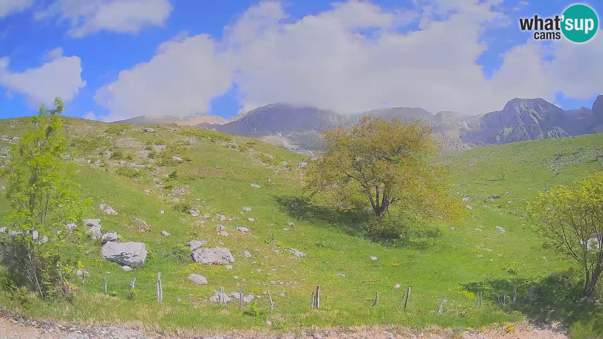 Spletna kamera Planina Kuhinja – KRN – Kobarid
