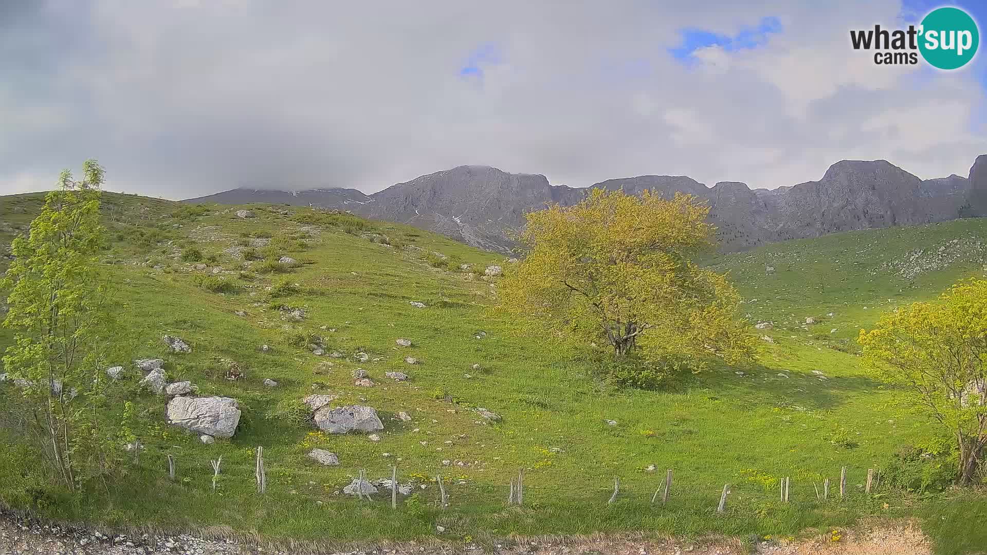 Web kamera Planina Kuhinja – KRN – Kobarid – Slovenija