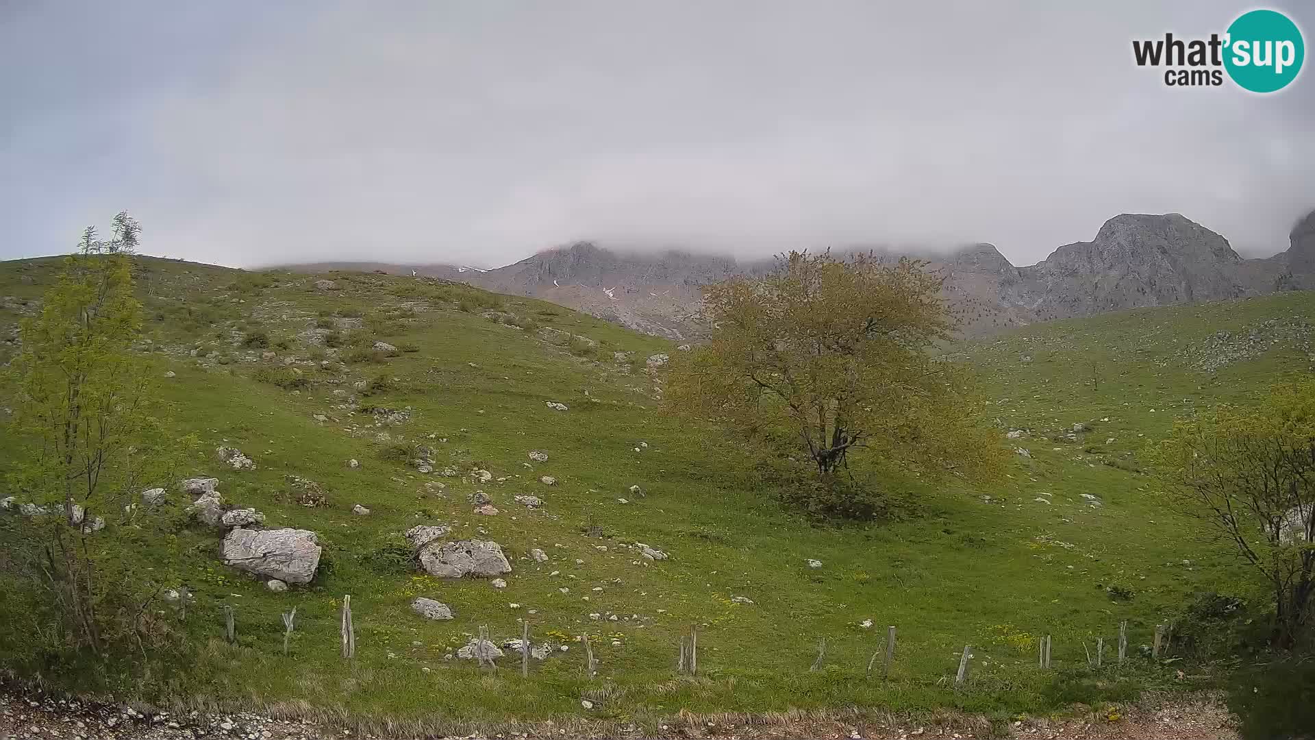 Spletna kamera Planina Kuhinja – KRN – Kobarid