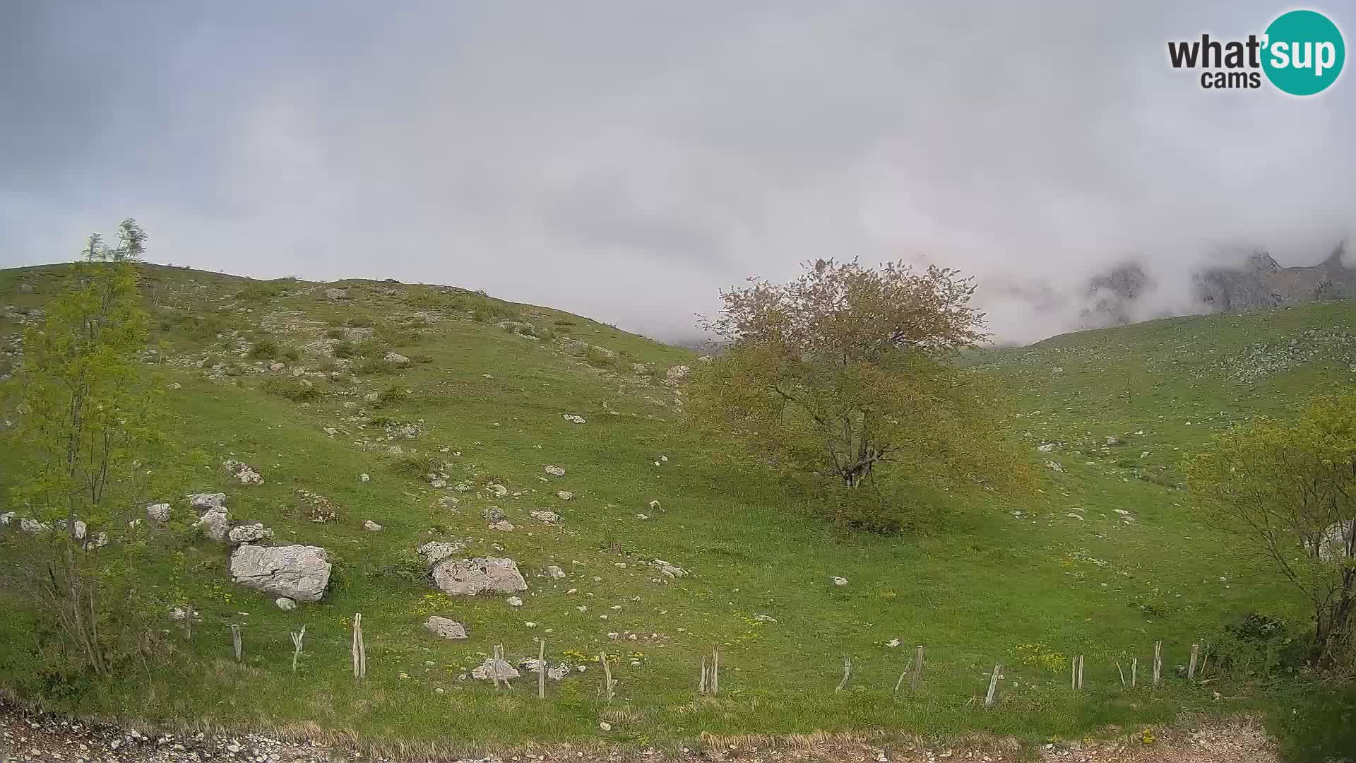 Webcam Krn – Planina Kuhinja ( Plateau Kuhinja ) – Kobarid – Slovenia