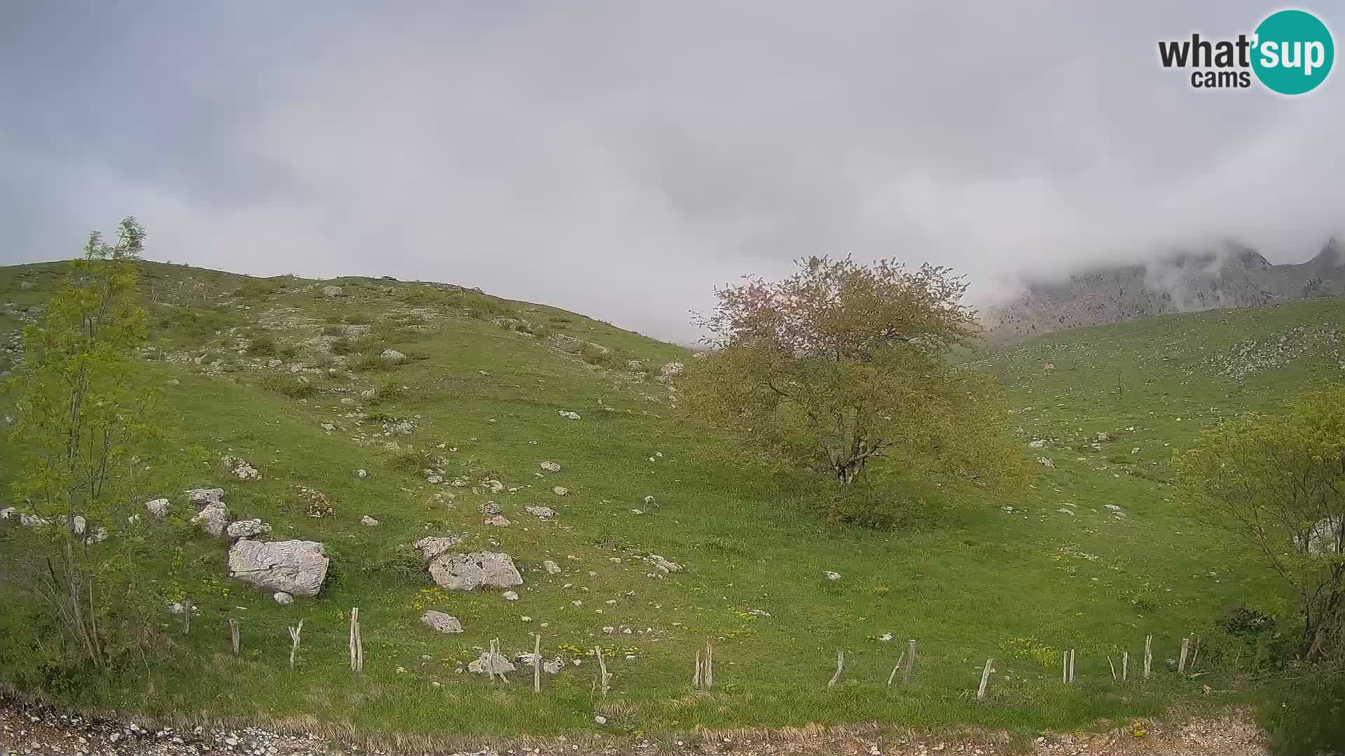 Spletna kamera Planina Kuhinja – KRN – Kobarid