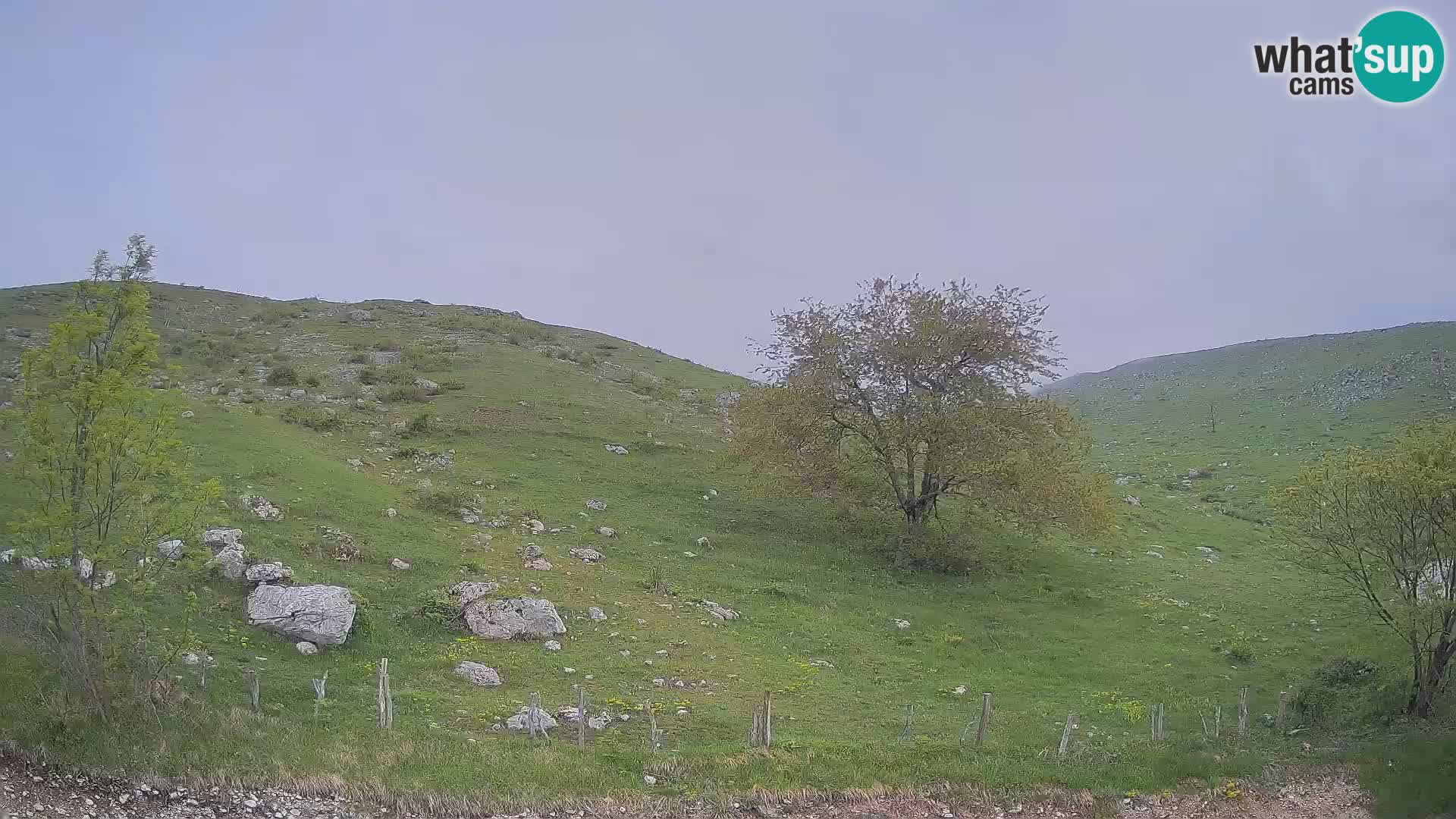 Webcam Krn – Planina Kuhinja ( Plateau Kuhinja ) – Kobarid – Slovenia