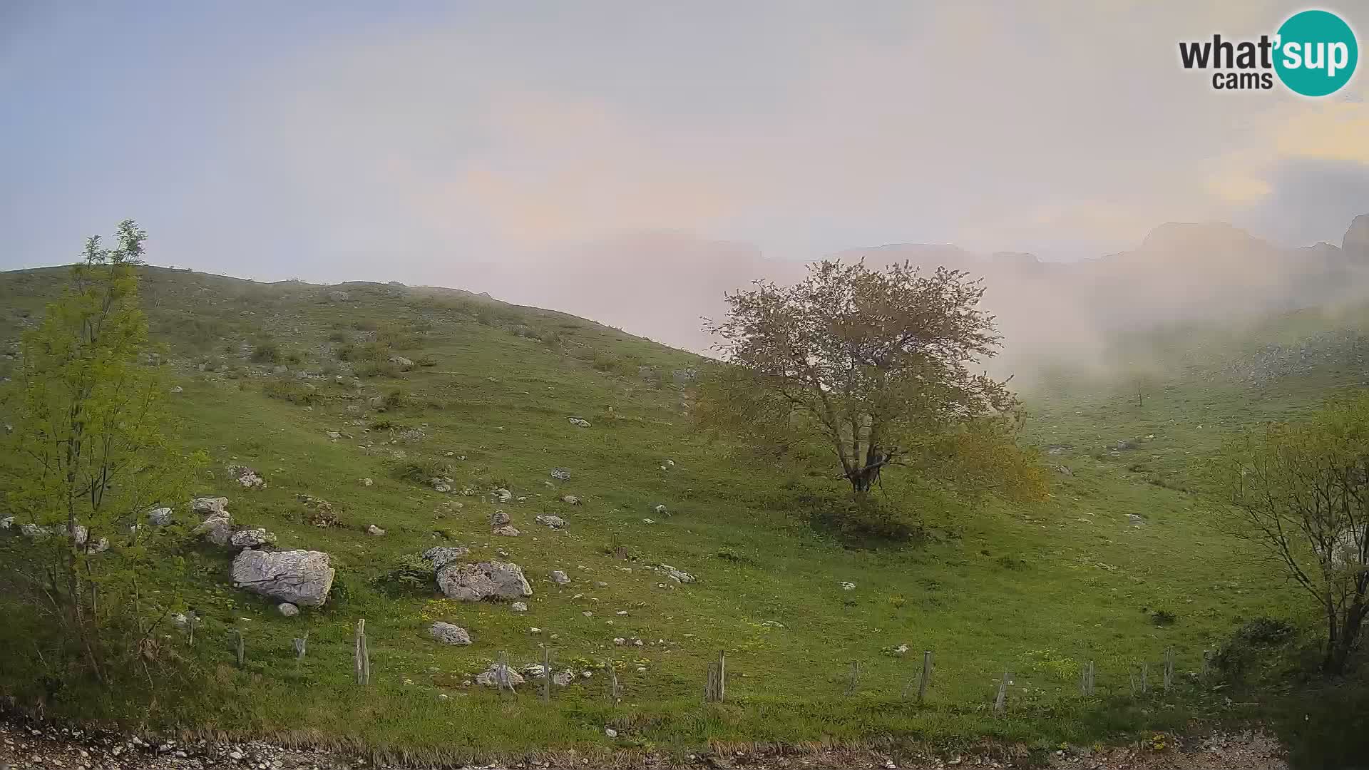 Spletna kamera Planina Kuhinja – KRN – Kobarid