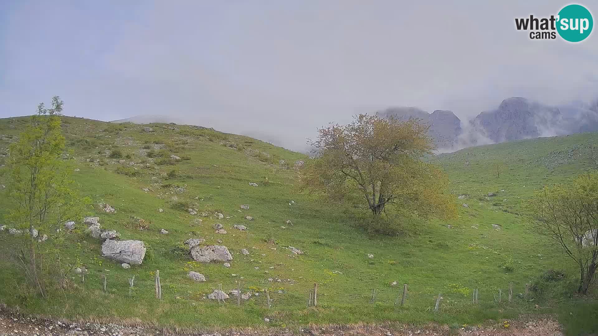 Webcam Planina Kuhinja – KRN – Kobarid – Slowenien