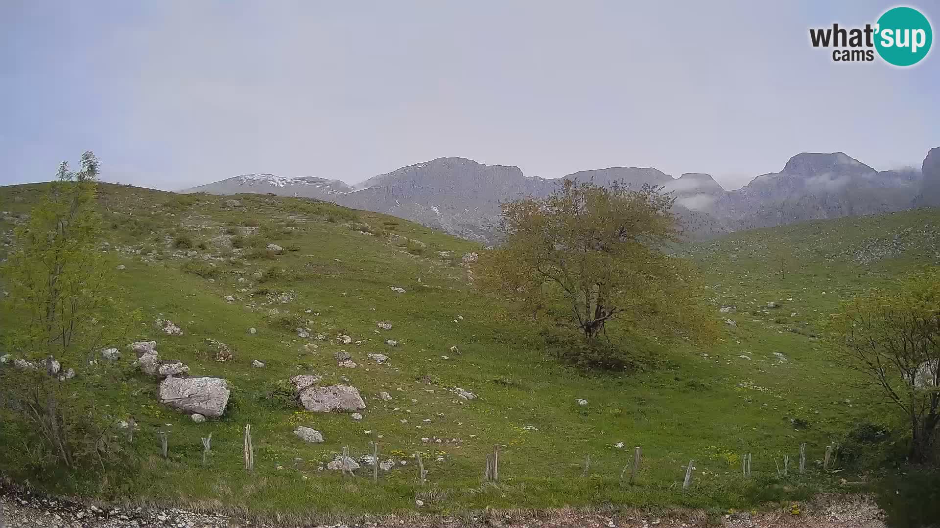 Spletna kamera Planina Kuhinja – KRN – Kobarid