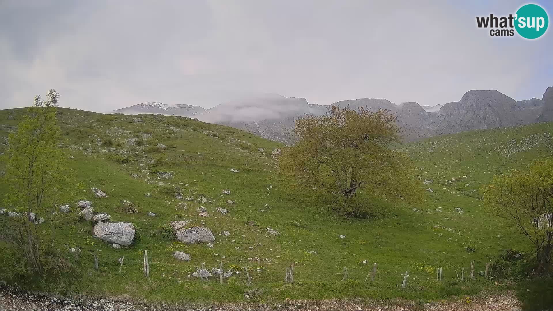 Livecam Planina Kuhinja – KRN- Kobarid – Slovénie
