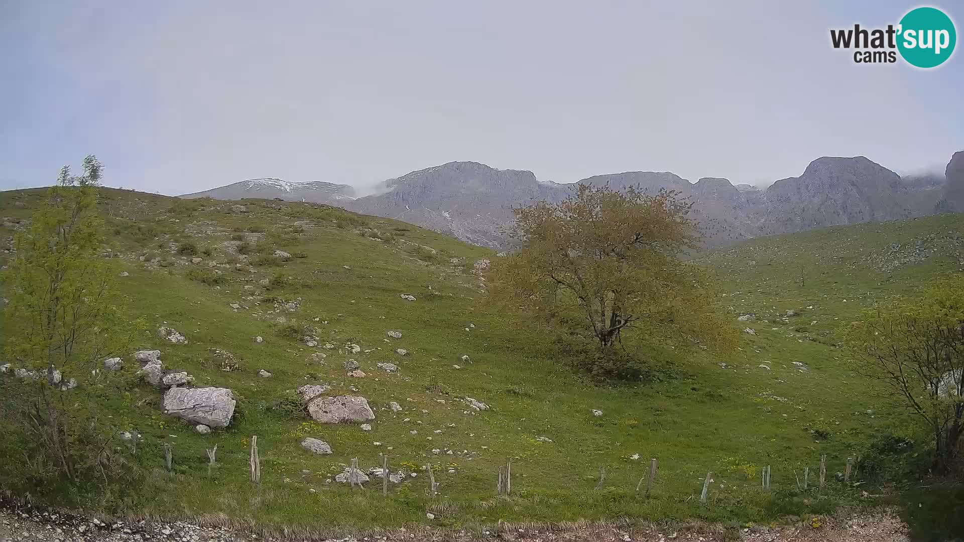 Webcam Planina Kuhinja – KRN – Kobarid – Slowenien