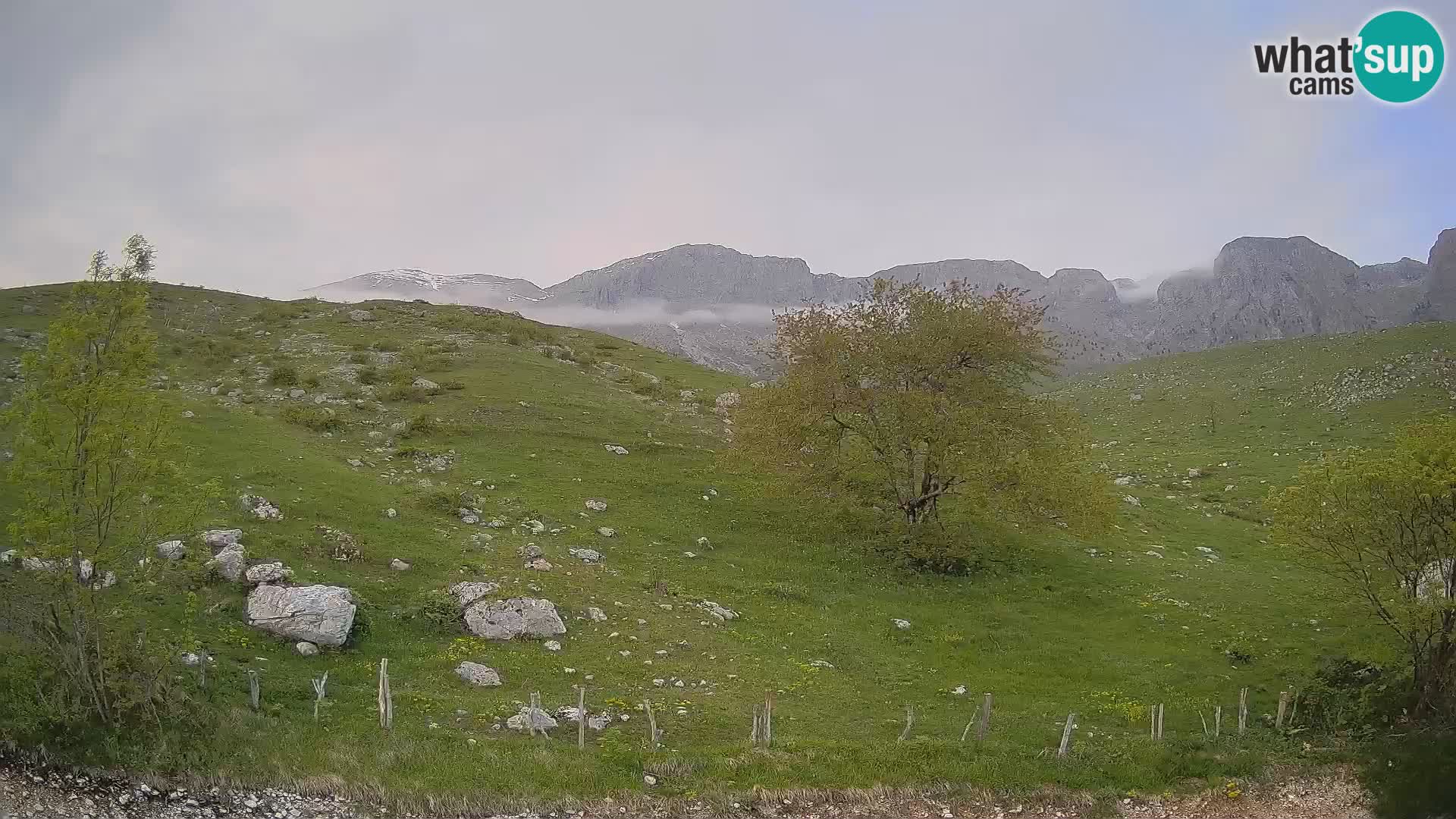 Webcam Krn – Planina Kuhinja ( Plateau Kuhinja ) – Kobarid – Slovenia