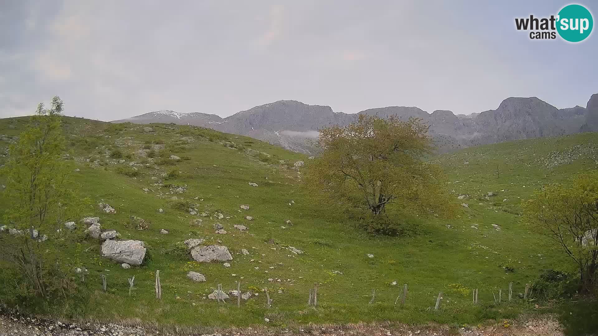 Spletna kamera Planina Kuhinja – KRN – Kobarid