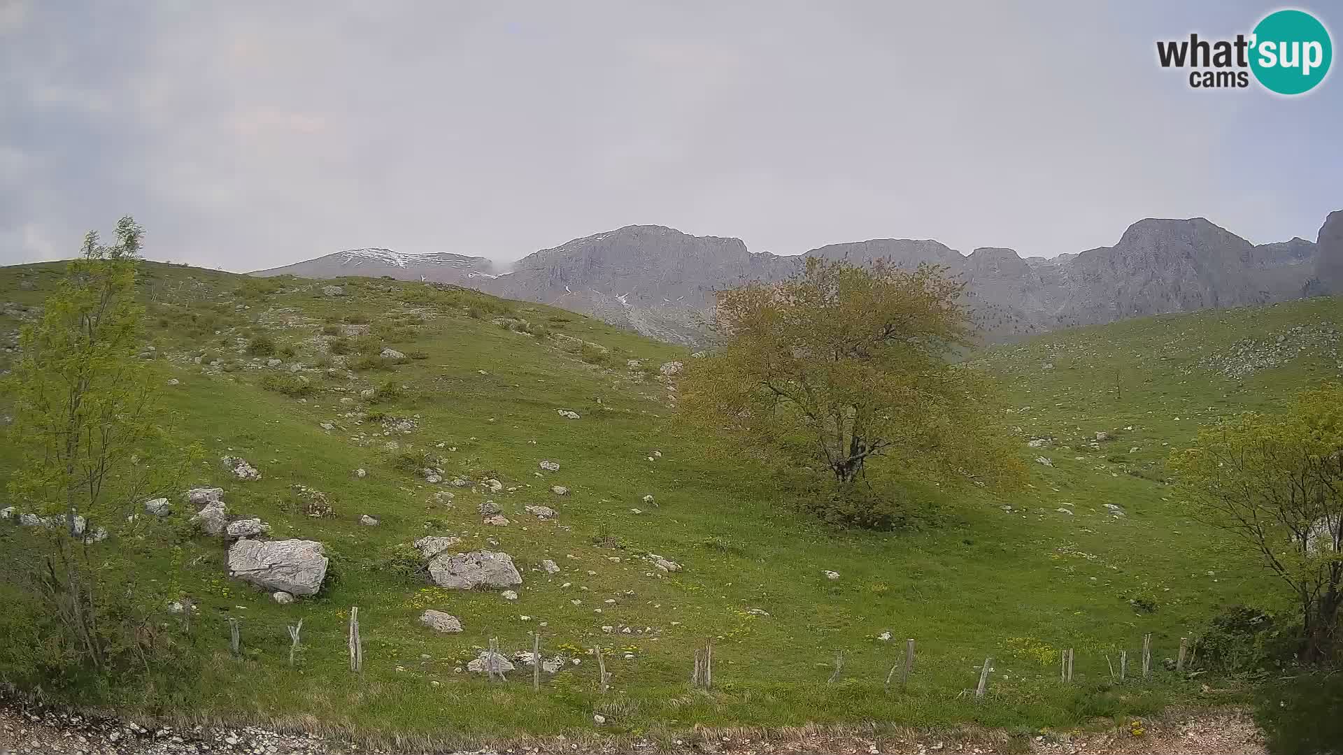 Webcam Krn – Planina Kuhinja ( Plateau Kuhinja ) – Kobarid – Slovenia