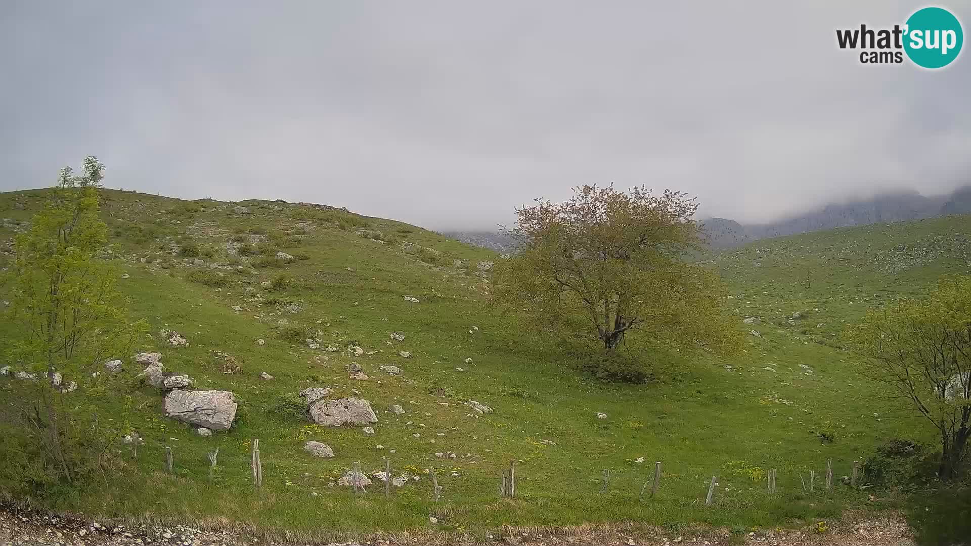 Cámara en Vivo de Planina Kuhinja – KRN – Kobarid – Eslovenia