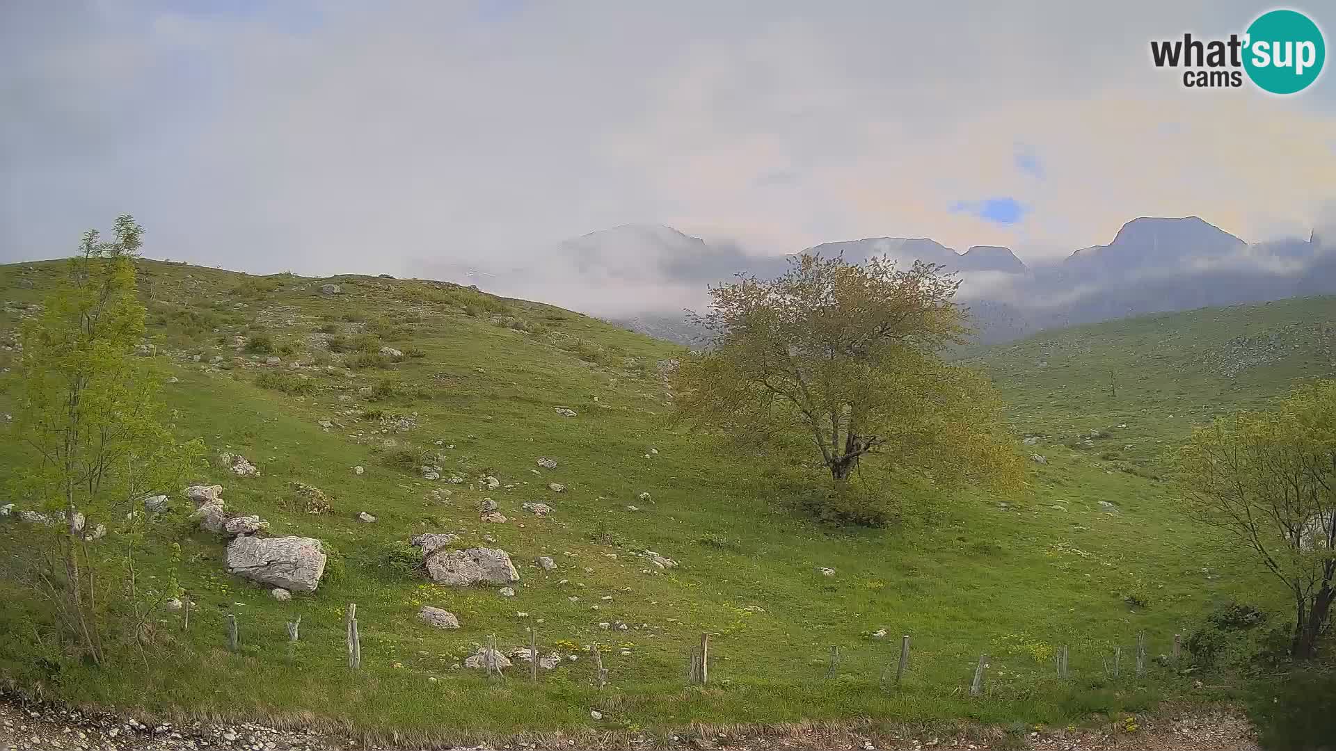 Webcam Krn – Planina Kuhinja ( Plateau Kuhinja ) – Kobarid – Slovenia