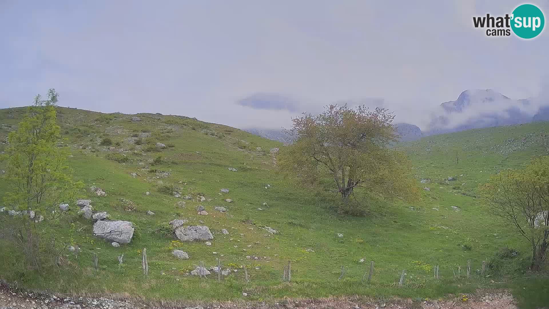 Cámara en Vivo de Planina Kuhinja – KRN – Kobarid – Eslovenia