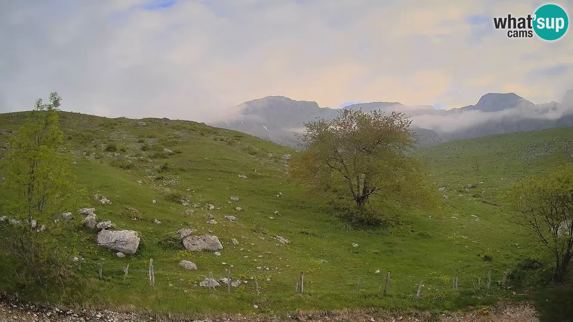 Webcam Planina Kuhinja – KRN – Kobarid – Slowenien