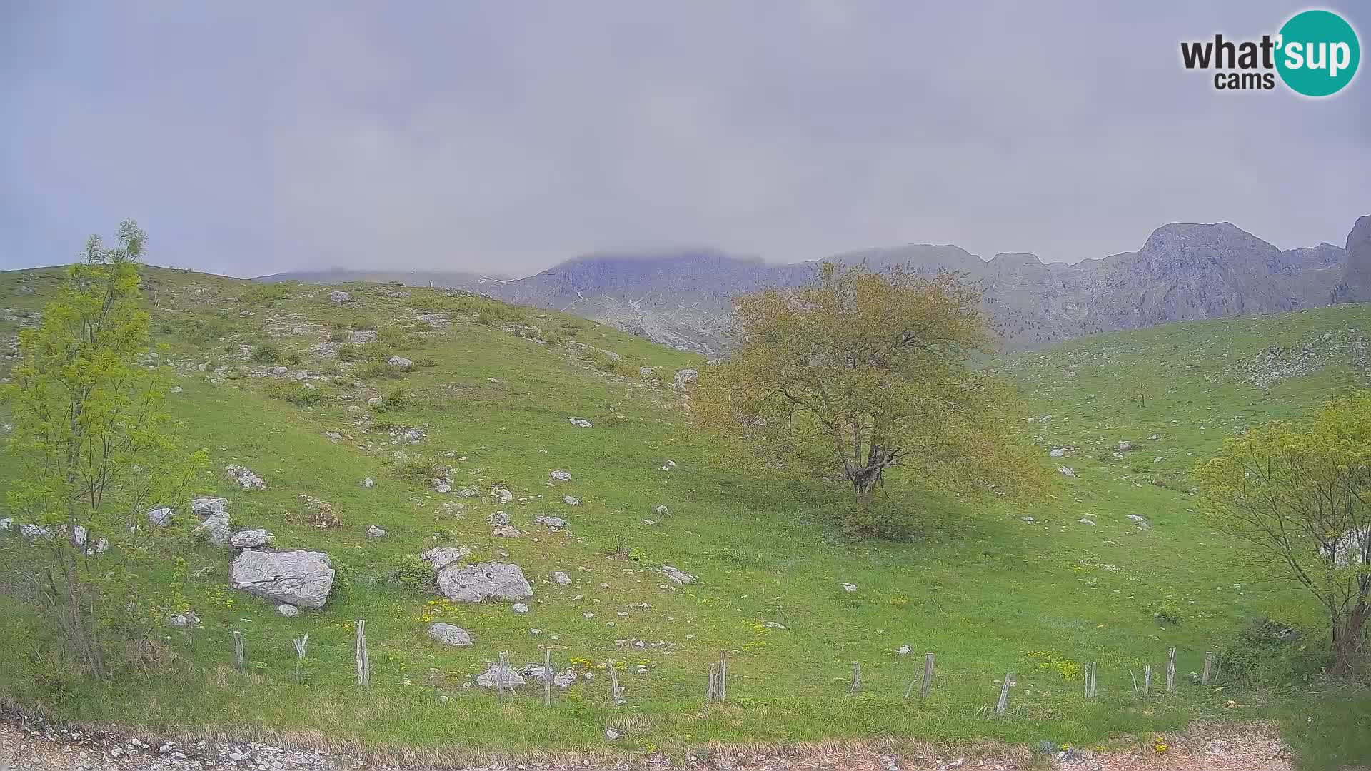 Live cam Planina Kuhinja – Monte Nero ( Krn ) – Caporetto – Slovenia