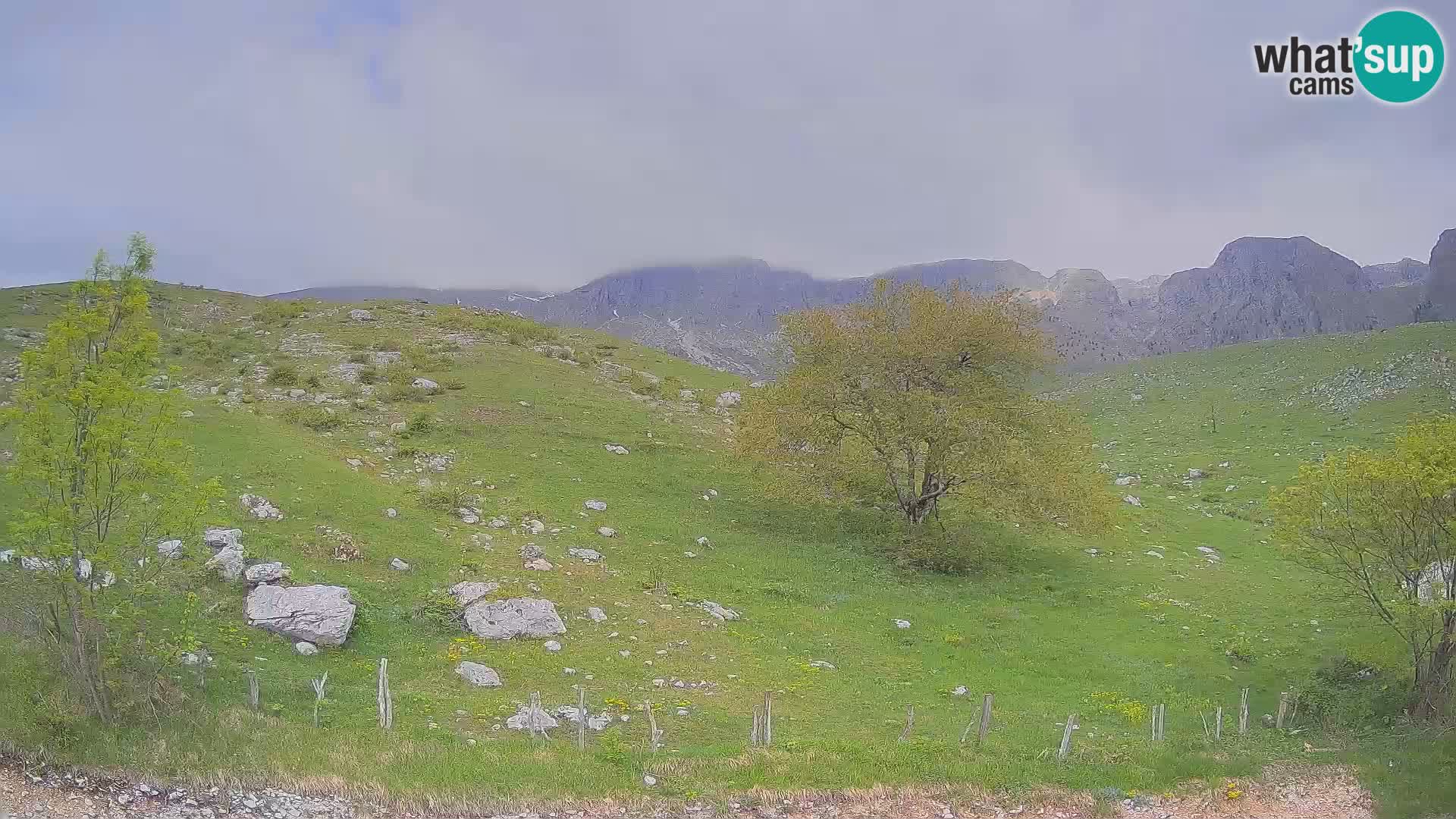 Webcam Krn – Planina Kuhinja ( Plateau Kuhinja ) – Kobarid – Slovenia