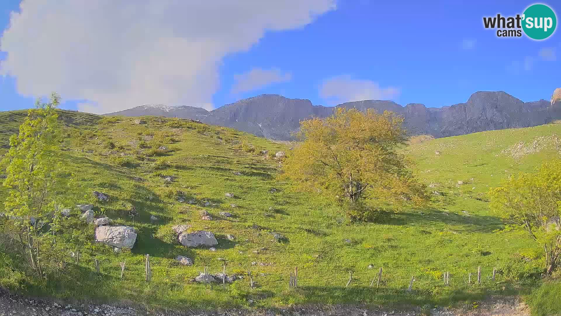 Cámara en Vivo de Planina Kuhinja – KRN – Kobarid – Eslovenia