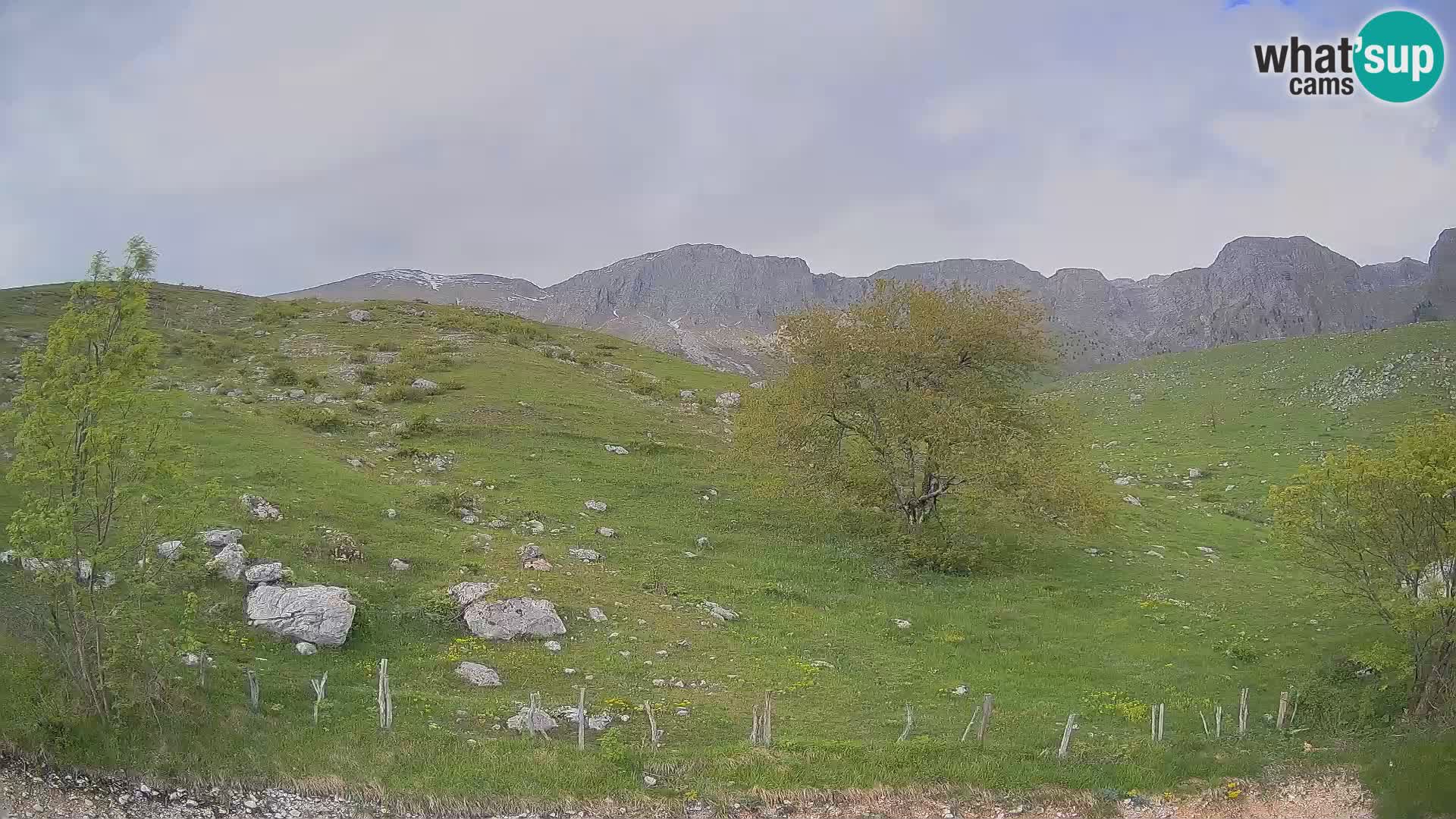 Live cam Planina Kuhinja – Monte Nero ( Krn ) – Caporetto – Slovenia