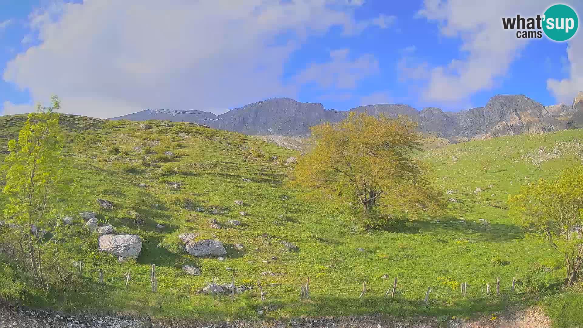 Web kamera Planina Kuhinja – KRN – Kobarid – Slovenija