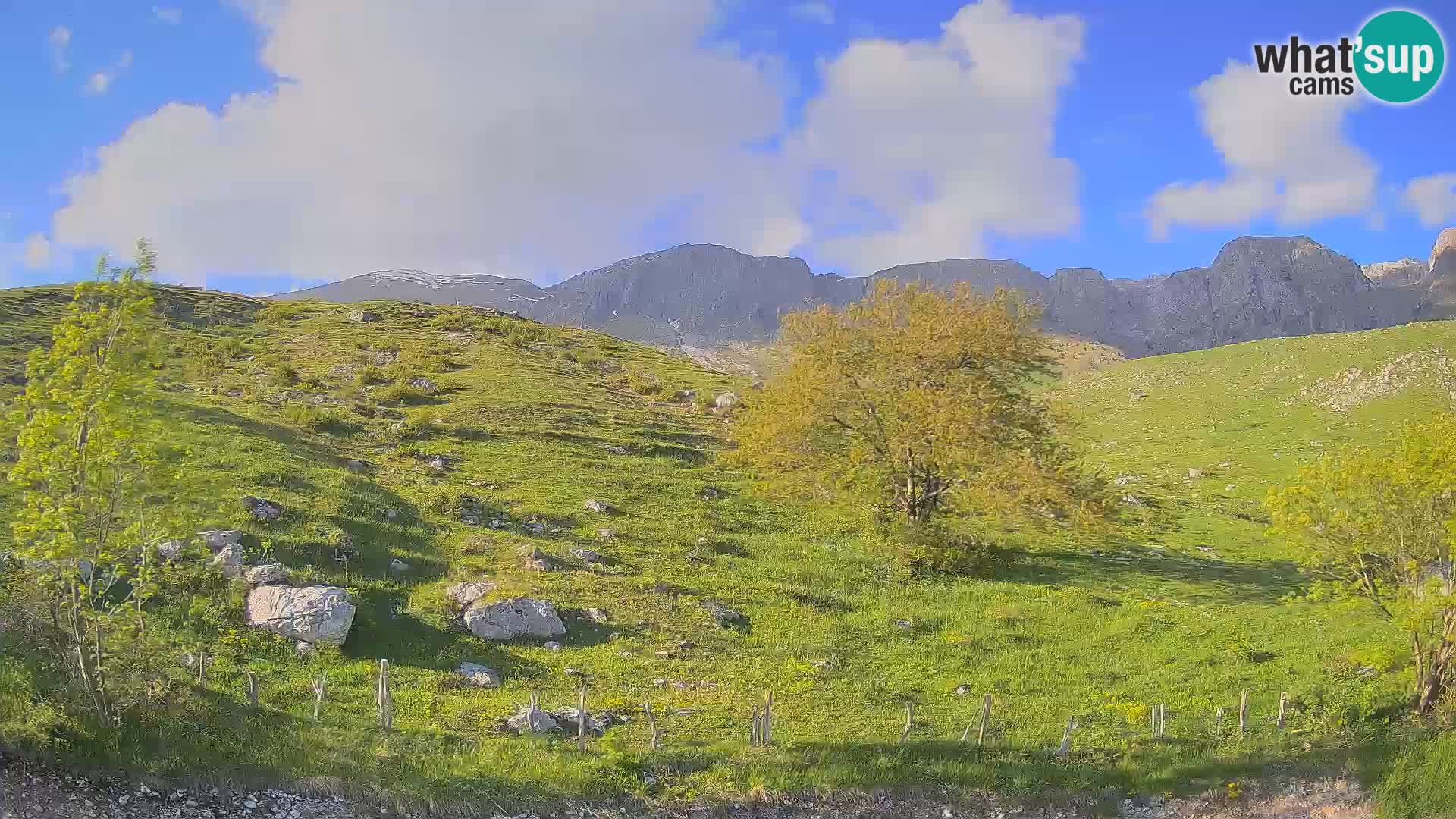 Livecam Planina Kuhinja – KRN- Kobarid – Slovénie