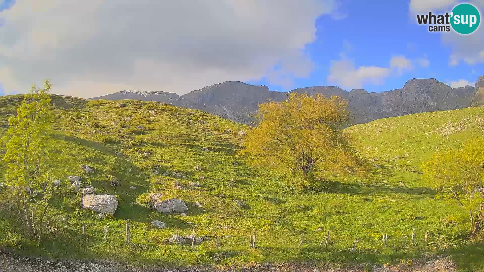 Spletna kamera Planina Kuhinja – KRN – Kobarid