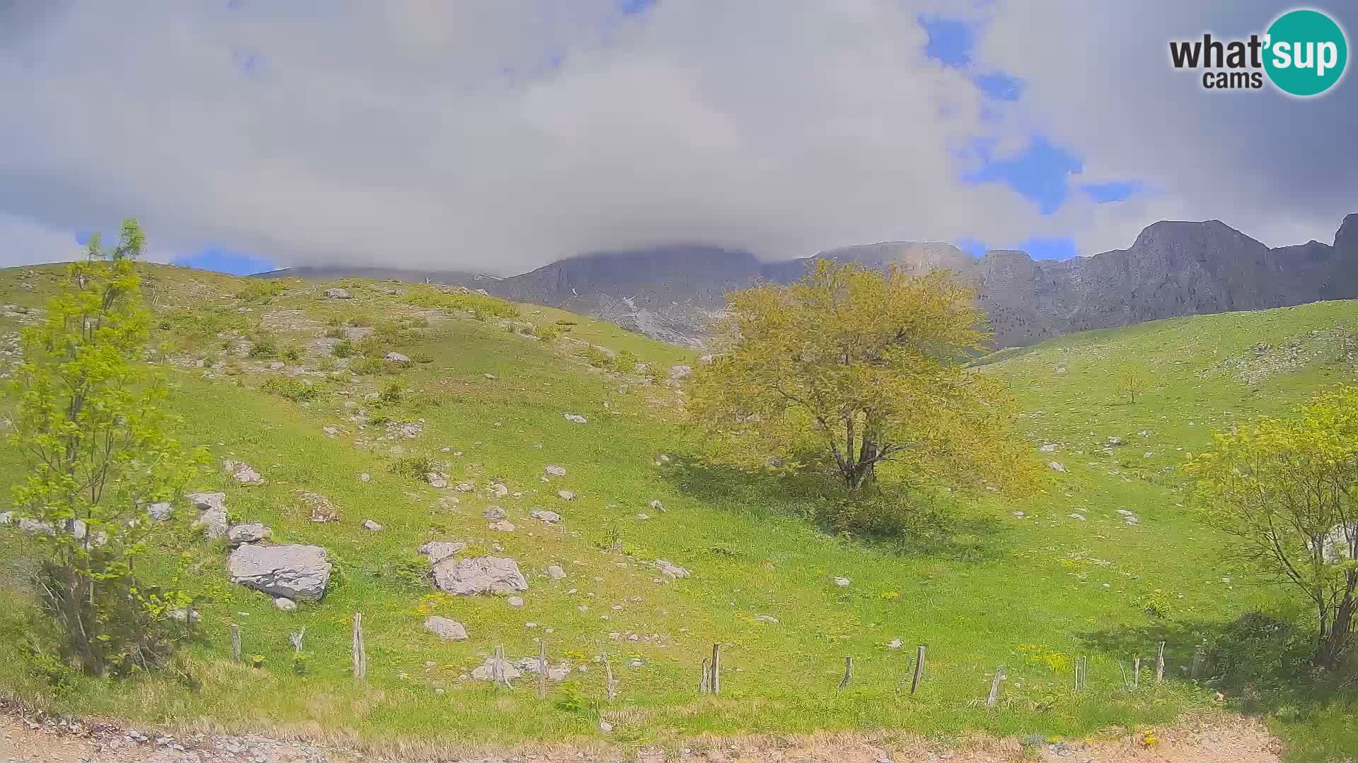 Webcam Krn – Planina Kuhinja ( Plateau Kuhinja ) – Kobarid – Slovenia