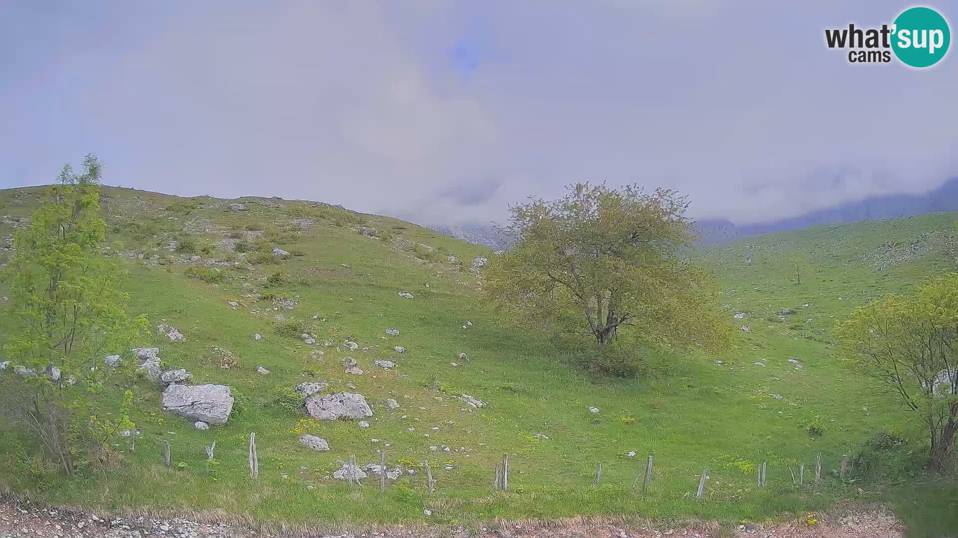 Livecam Planina Kuhinja – KRN- Kobarid – Slovénie