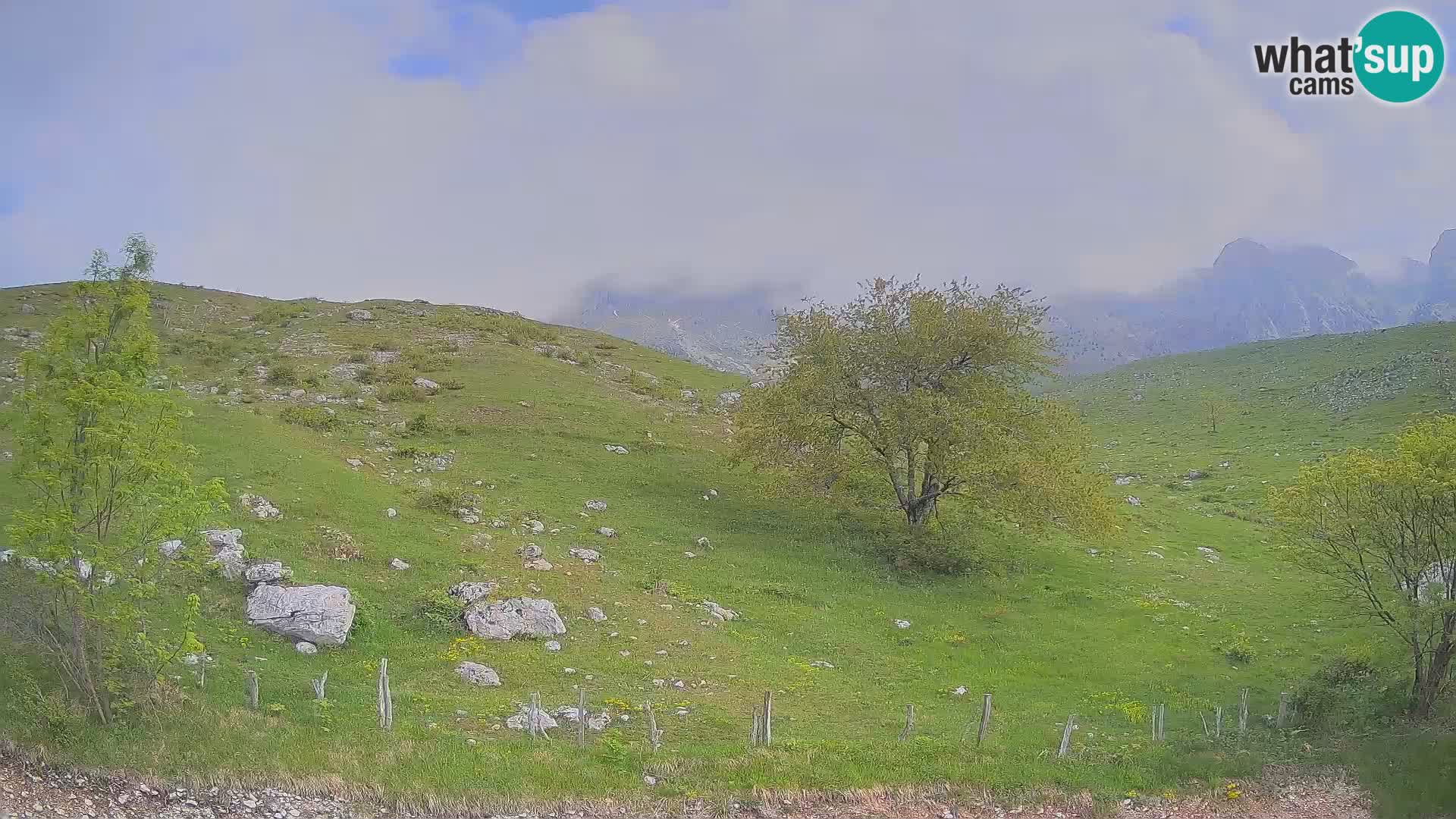 Livecam Planina Kuhinja – KRN- Kobarid – Slovénie