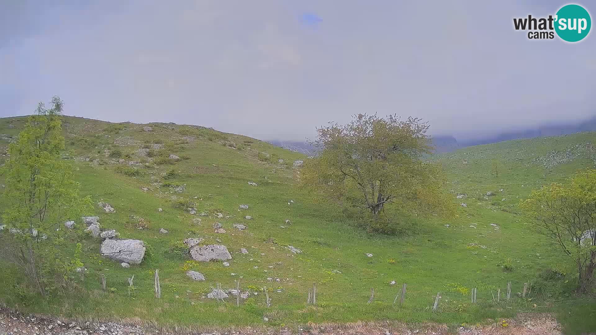 Spletna kamera Planina Kuhinja – KRN – Kobarid