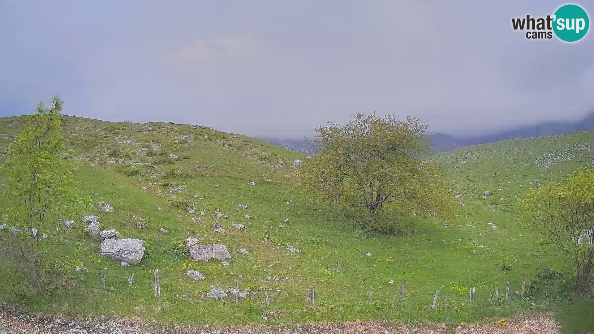 Web kamera Planina Kuhinja – KRN – Kobarid – Slovenija