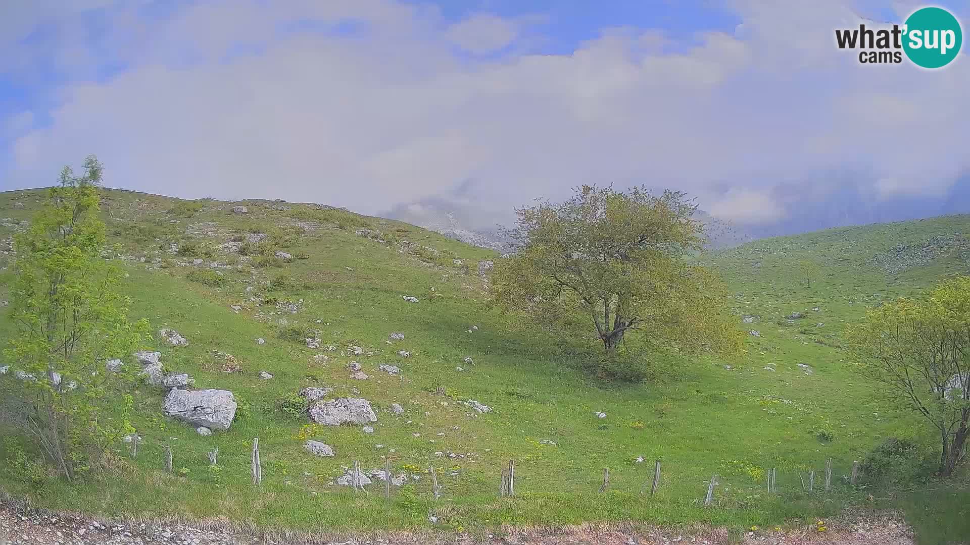 Web kamera Planina Kuhinja – KRN – Kobarid – Slovenija