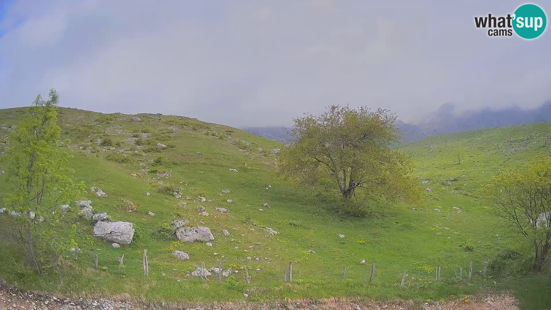 Livecam Planina Kuhinja – KRN- Kobarid – Slovénie