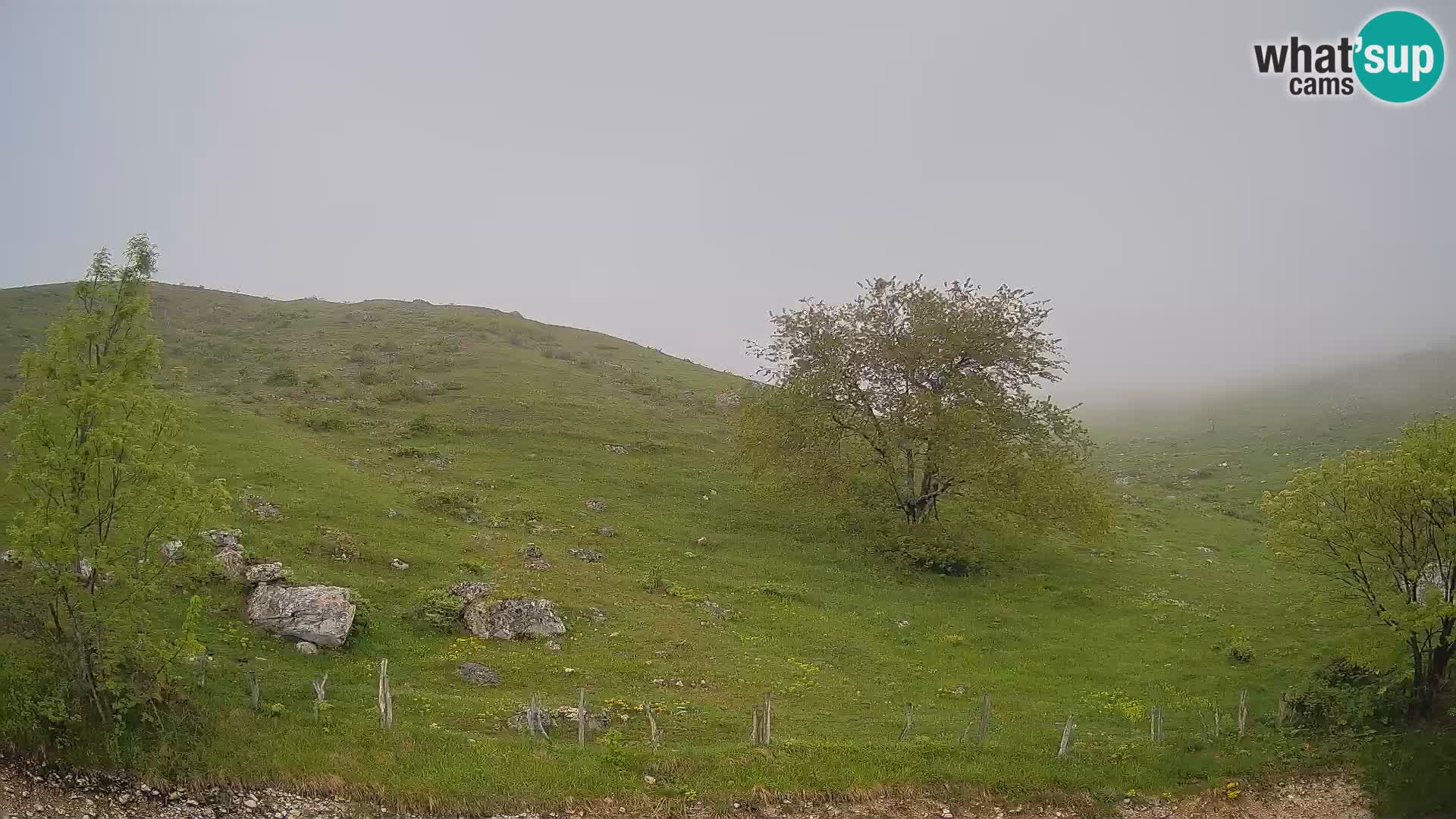 Livecam Planina Kuhinja – KRN- Kobarid – Slovénie