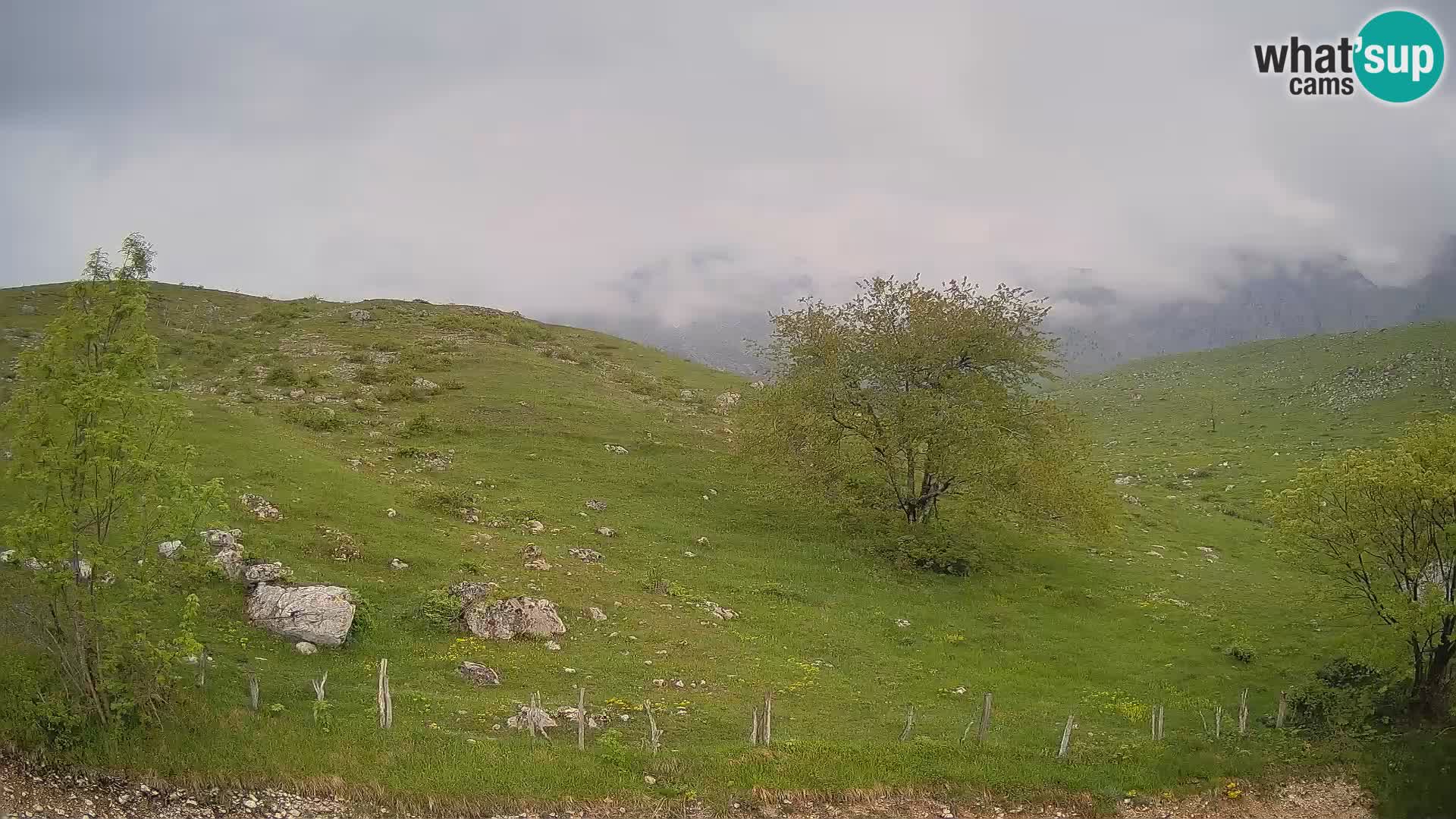 Webcam Planina Kuhinja – KRN – Kobarid – Slowenien