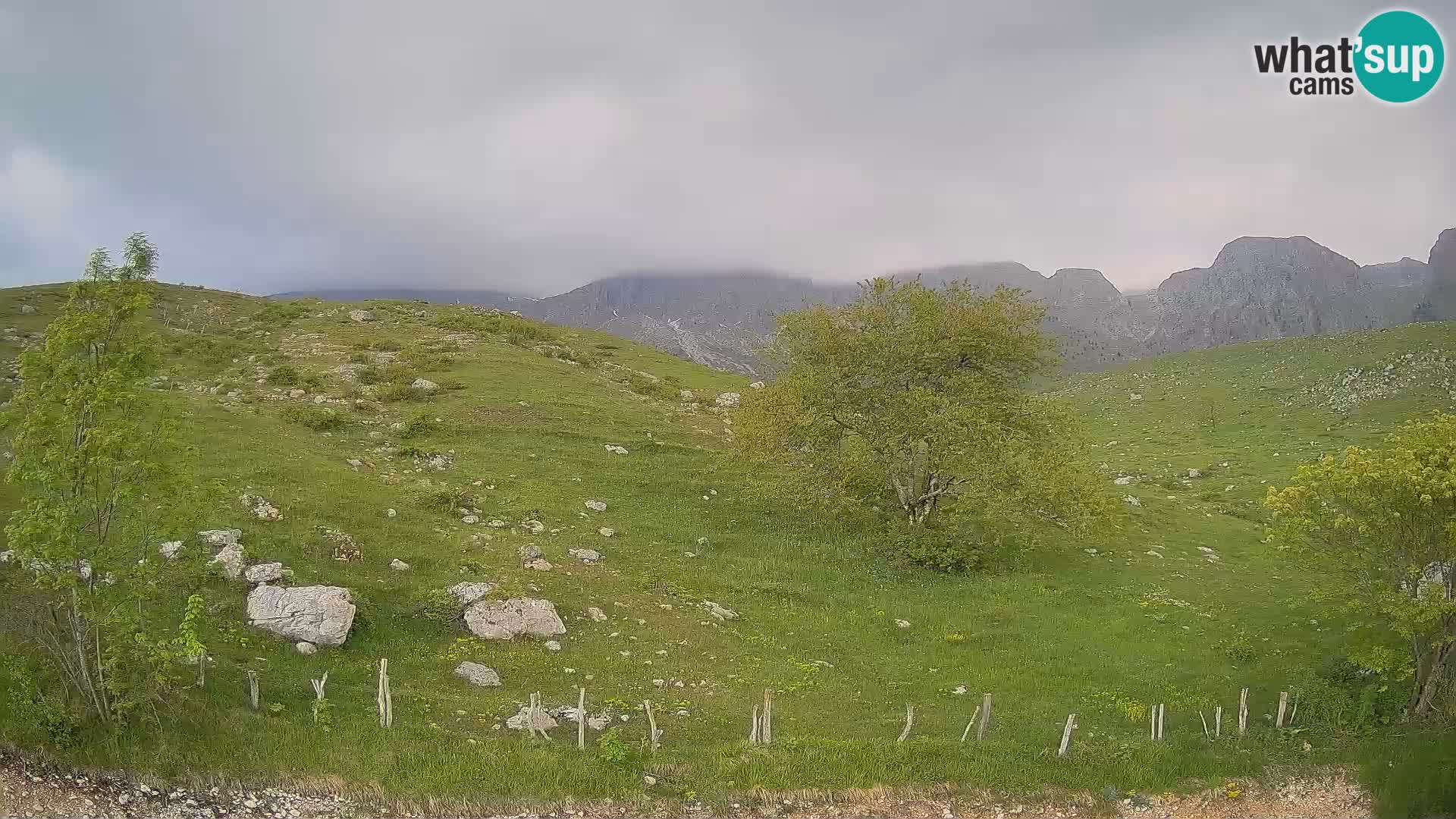 Live cam Planina Kuhinja – Monte Nero ( Krn ) – Caporetto – Slovenia