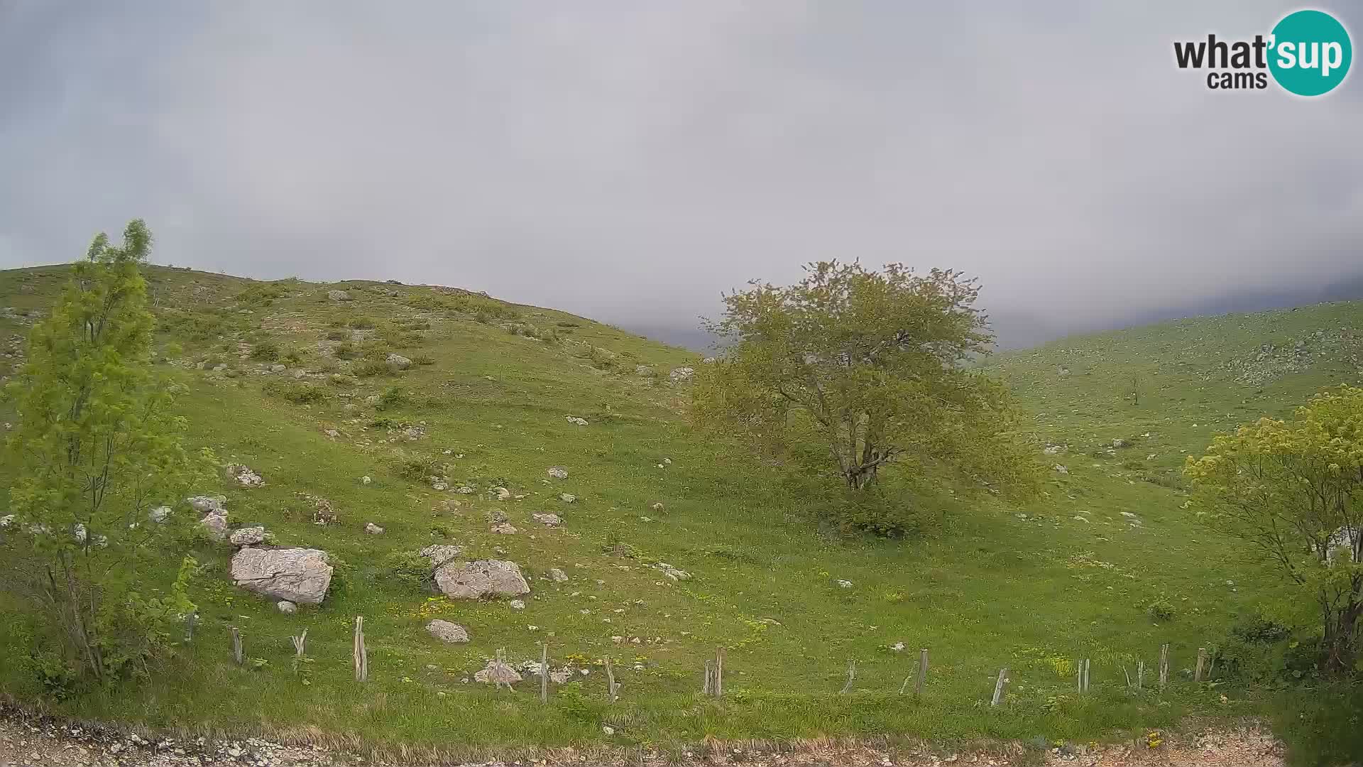 Live cam Planina Kuhinja – Monte Nero ( Krn ) – Caporetto – Slovenia